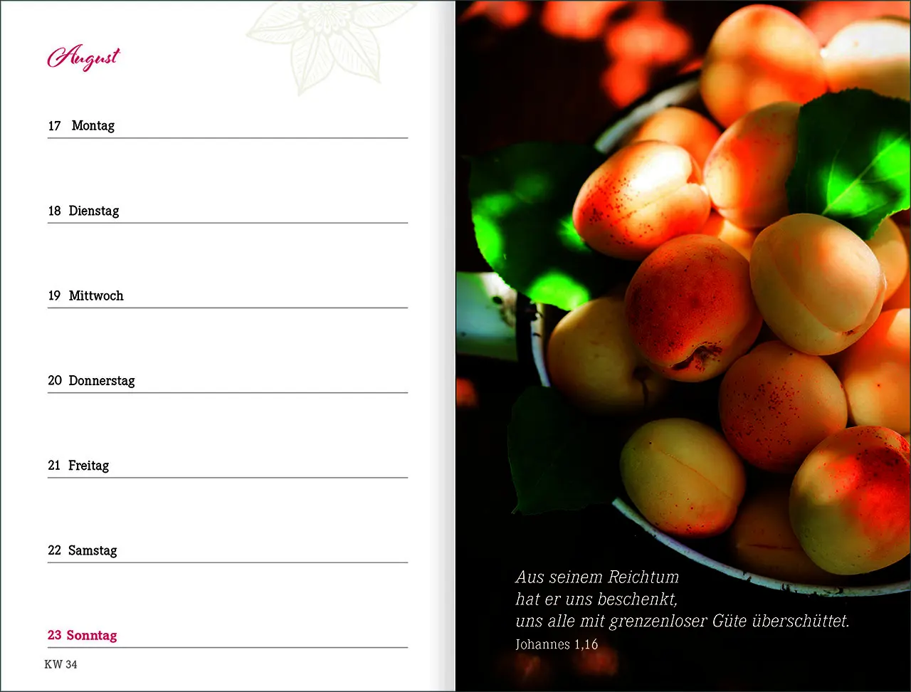 Bild: 9783754894361 | Augenblick 2026 | Bianka Bleier | Kalender | Mit Lesebändchen | 176 S.