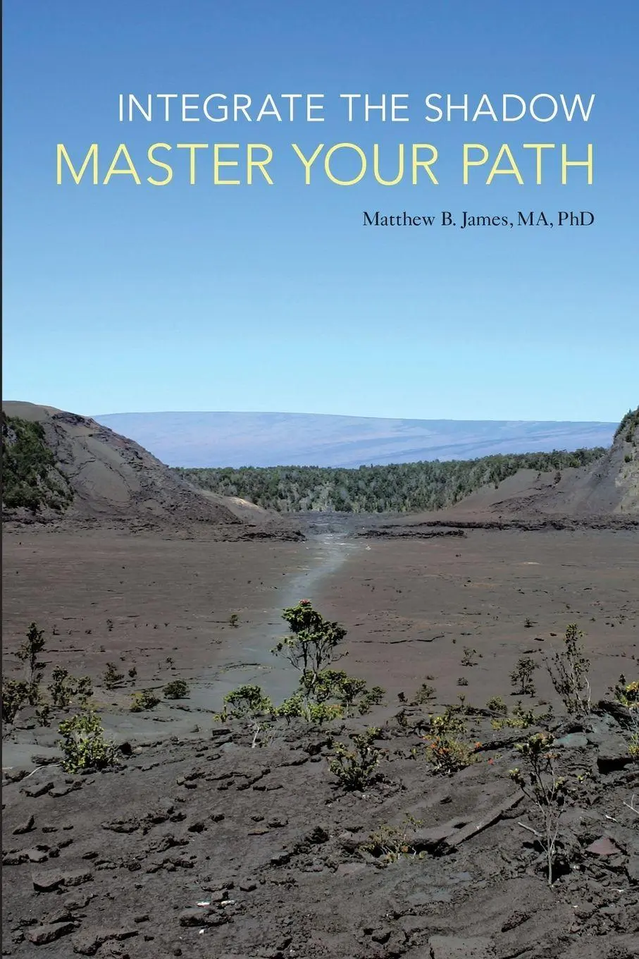 Cover: 9781452584461 | Integrate the Shadow, Master Your Path | Matthew B. James Ma | Buch