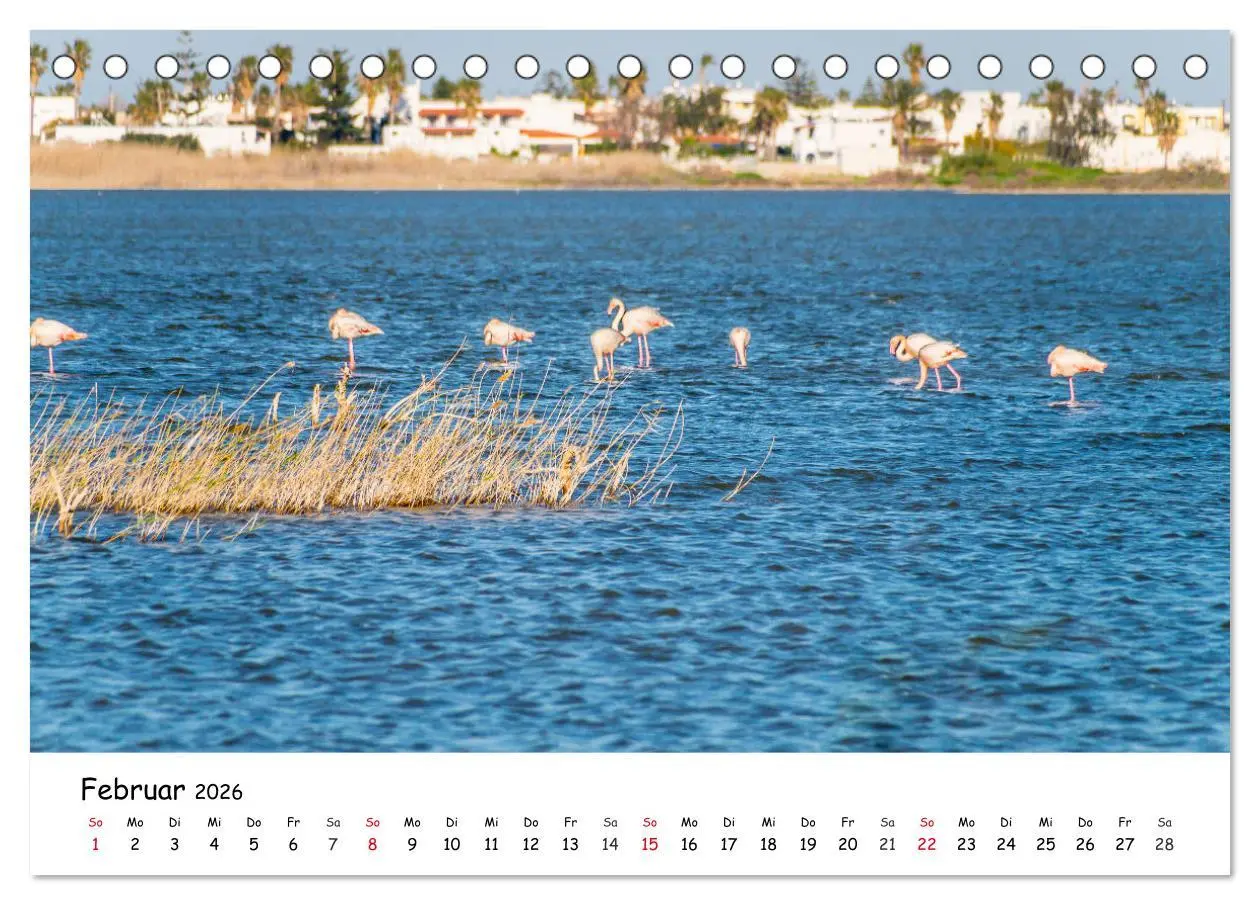 Bild: 9783457644461 | Kos 2026 (Tischkalender 2026 DIN A5 quer), CALVENDO Monatskalender