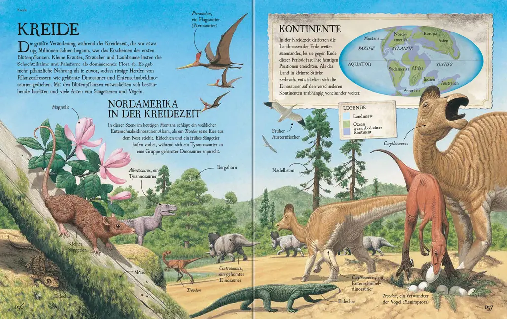 Rückseite: 9783473554461 | Lexikon der Dinosaurier und Urzeittiere | Julia Voigt | Buch | 256 S.