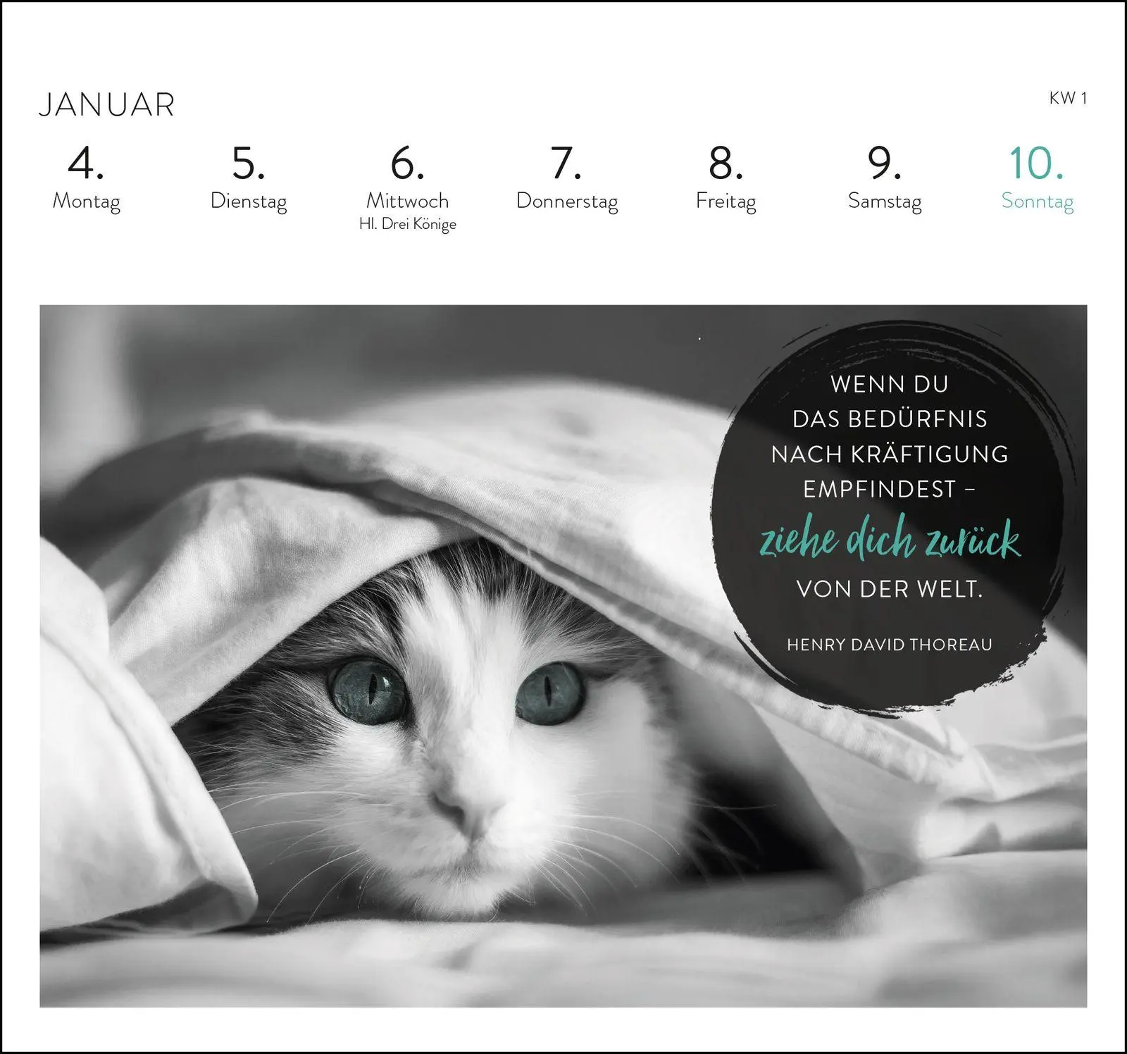 Bild: 4036442014561 | Postkartenkalender 2027: Inspirierende Worte für Katzenfreunde | 54 S.