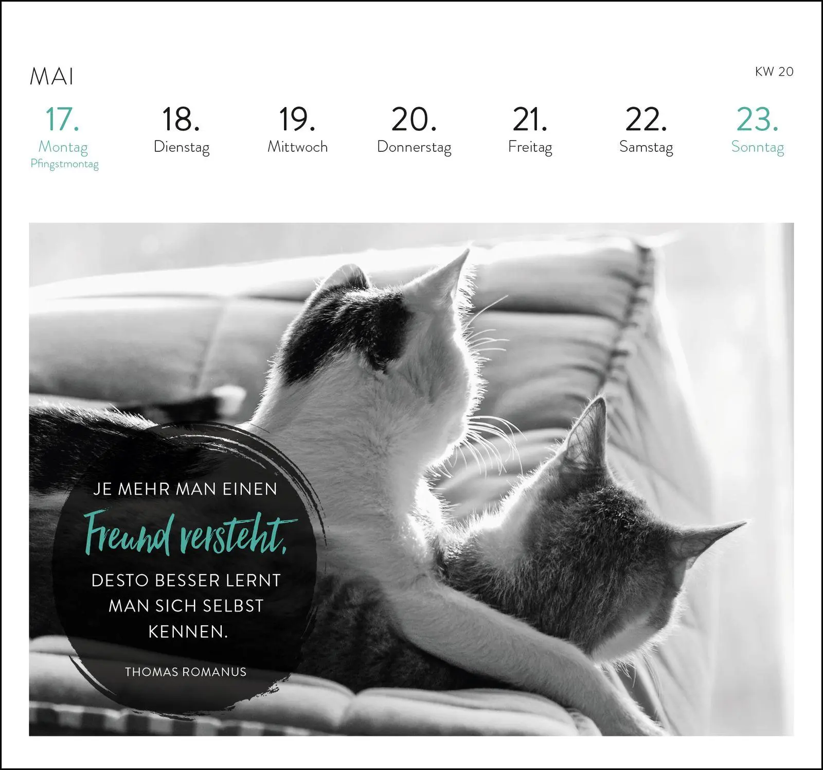 Bild: 4036442014561 | Postkartenkalender 2027: Inspirierende Worte für Katzenfreunde | 54 S.