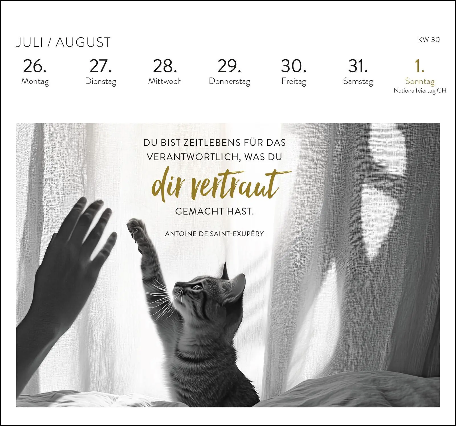 Bild: 4036442014561 | Postkartenkalender 2027: Inspirierende Worte für Katzenfreunde | 54 S.