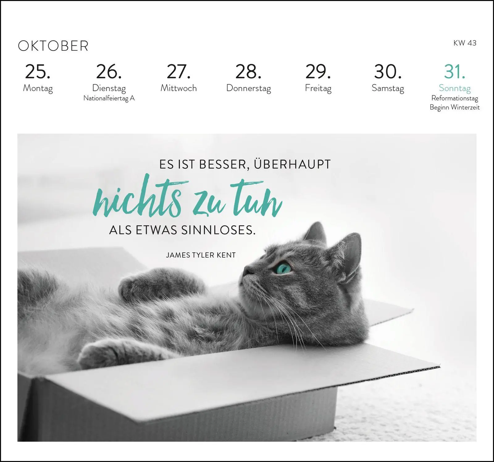 Bild: 4036442014561 | Postkartenkalender 2027: Inspirierende Worte für Katzenfreunde | 54 S.