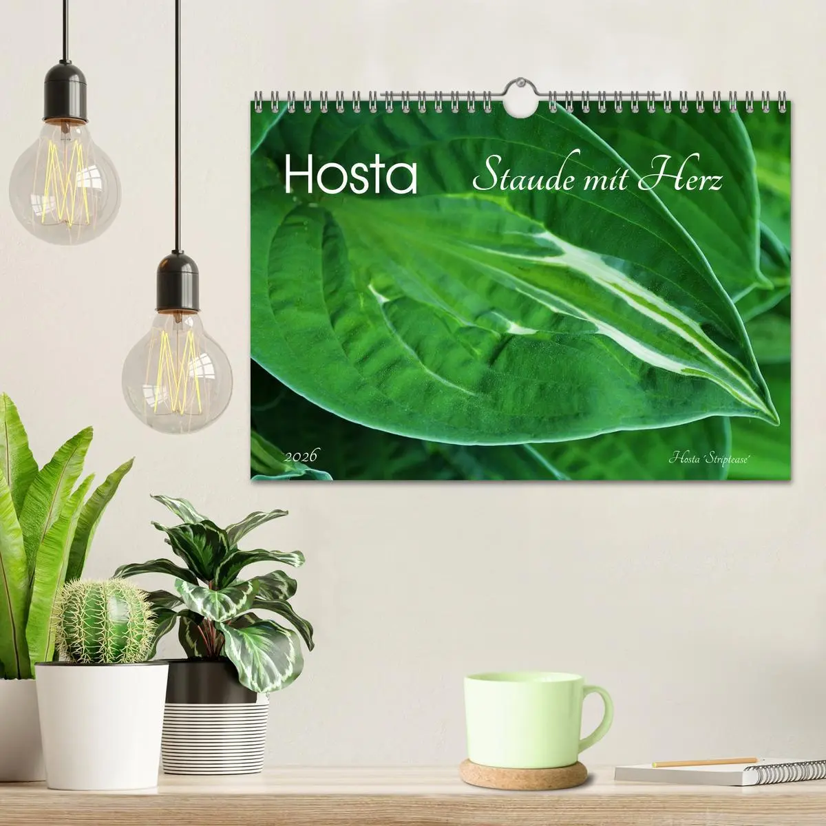 Bild: 9783516034561 | Hosta Staude mit Herz (Wandkalender 2026 DIN A4 quer), CALVENDO...