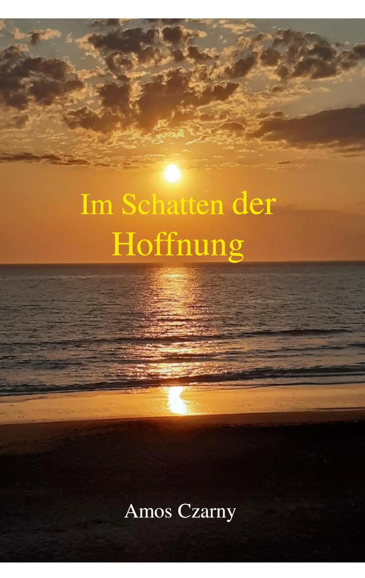 Cover: 9783696394561 | Im Schatten der Hoffnung | Deutschland ist ein schönes Land | Czarny