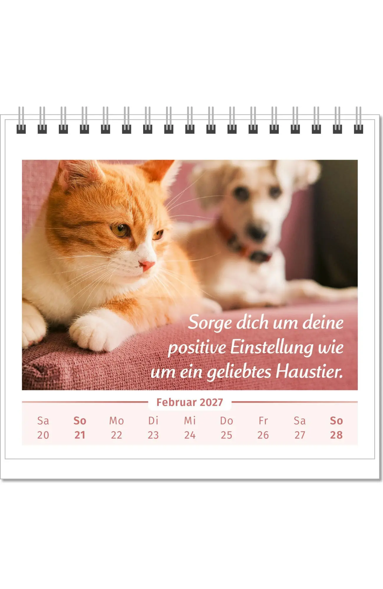 Bild: 9783910294561 | Der Lebensfreude-Tischkalender 2027 | Doris Wolf (u. a.) | Kalender