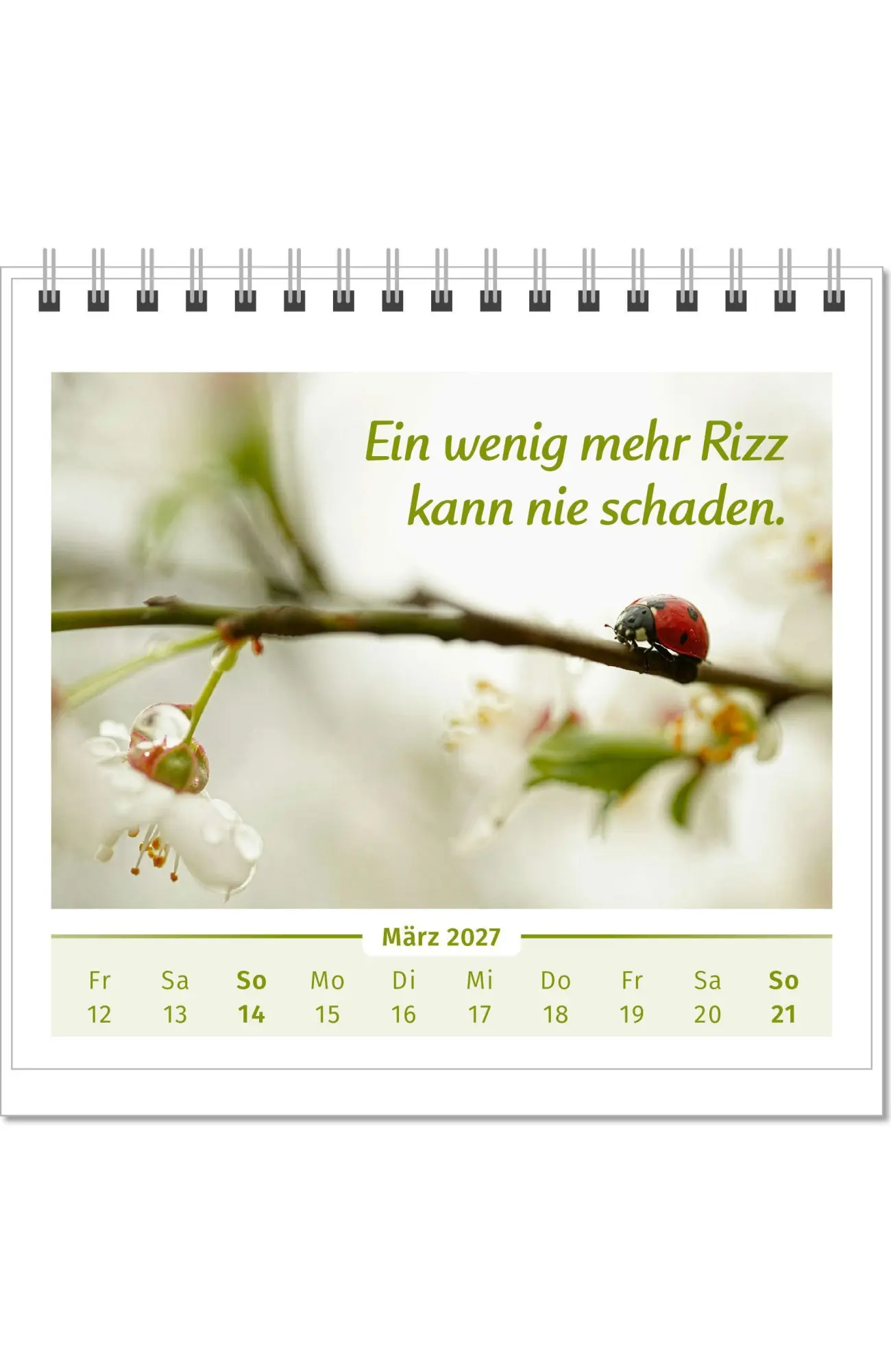 Bild: 9783910294561 | Der Lebensfreude-Tischkalender 2027 | Doris Wolf (u. a.) | Kalender
