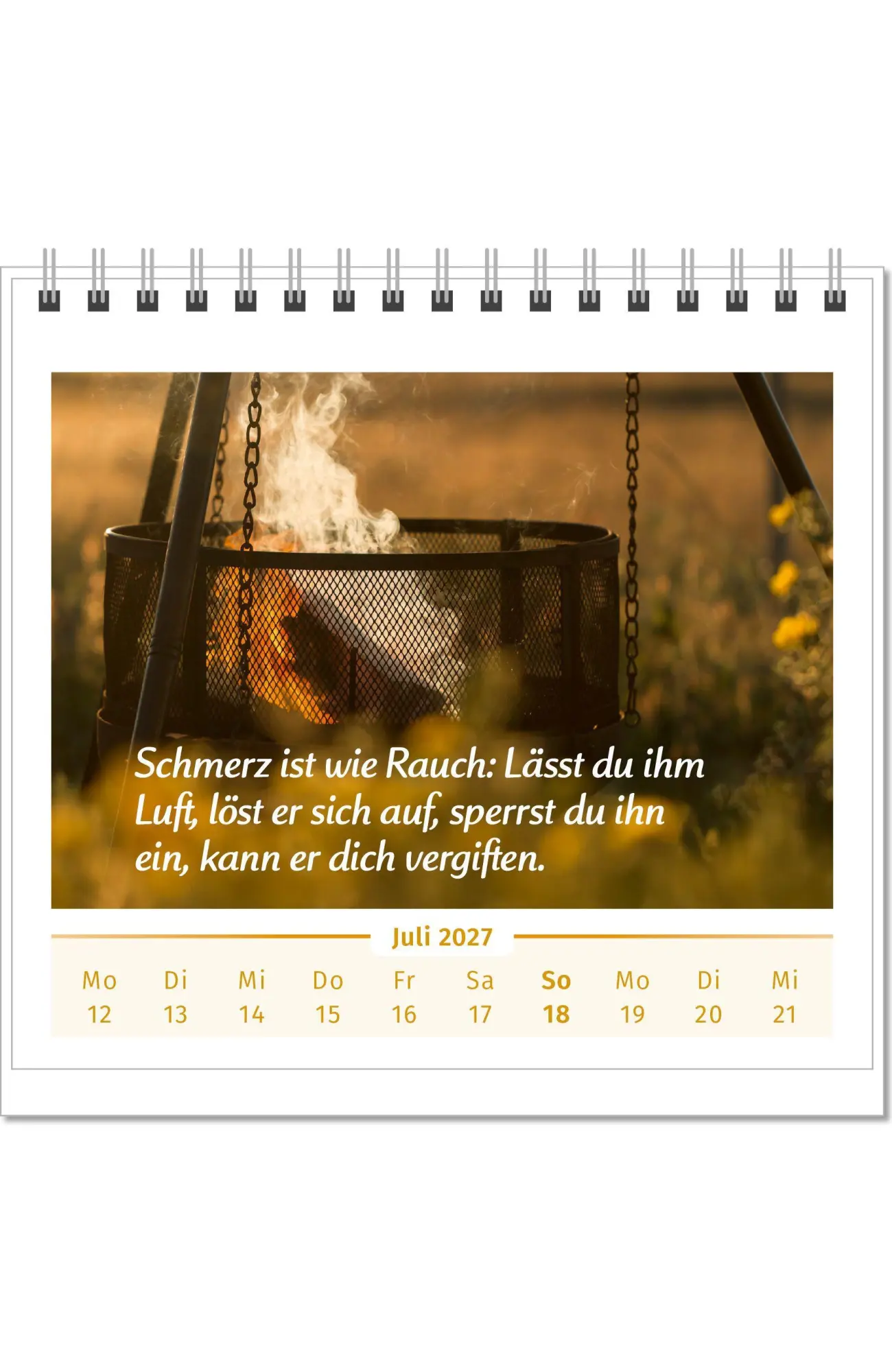 Bild: 9783910294561 | Der Lebensfreude-Tischkalender 2027 | Doris Wolf (u. a.) | Kalender