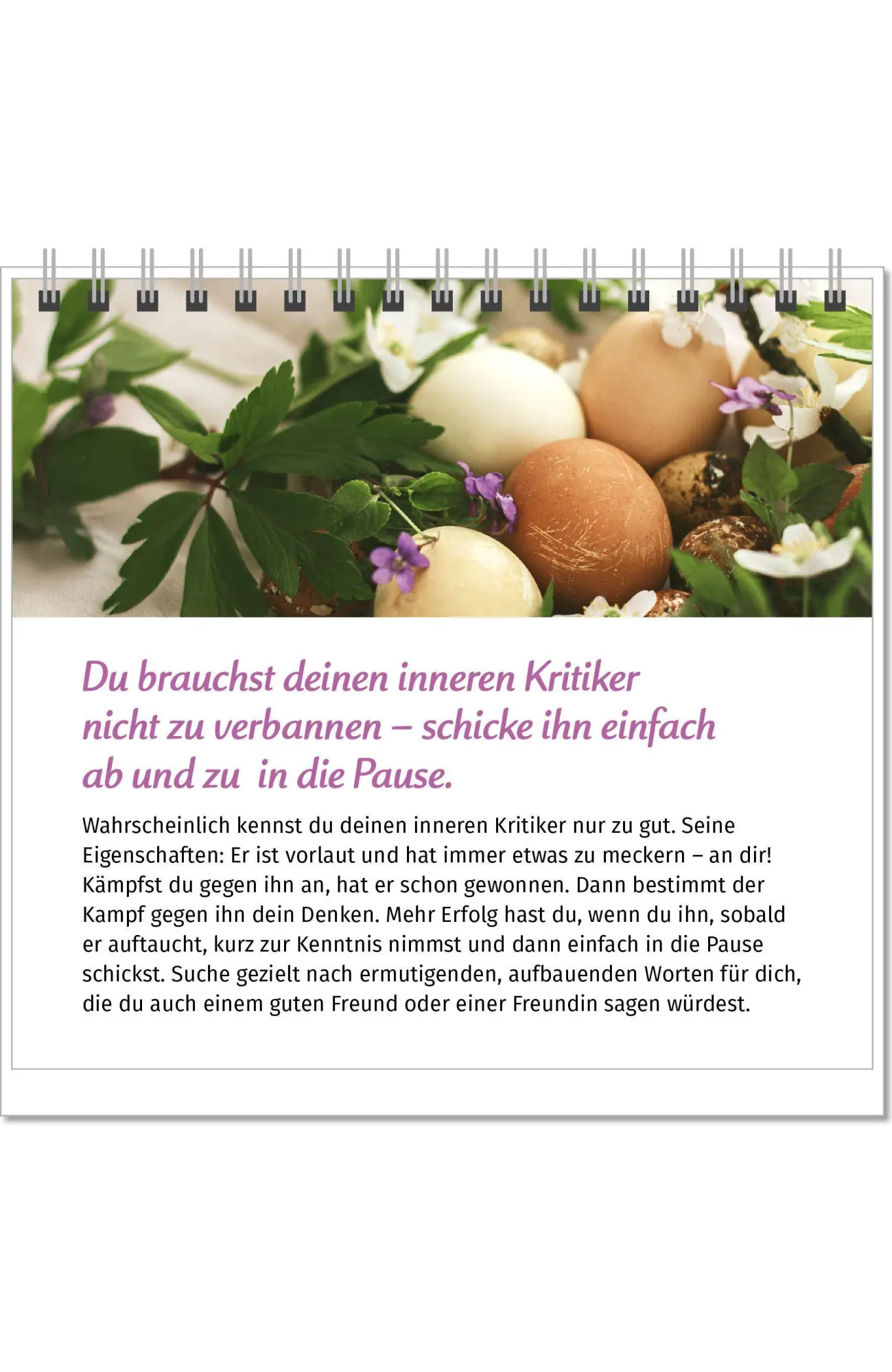 Bild: 9783910294561 | Der Lebensfreude-Tischkalender 2027 | Doris Wolf (u. a.) | Kalender