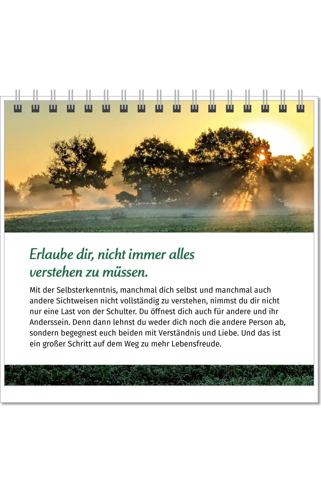 Bild: 9783910294561 | Der Lebensfreude-Tischkalender 2027 | Doris Wolf (u. a.) | Kalender