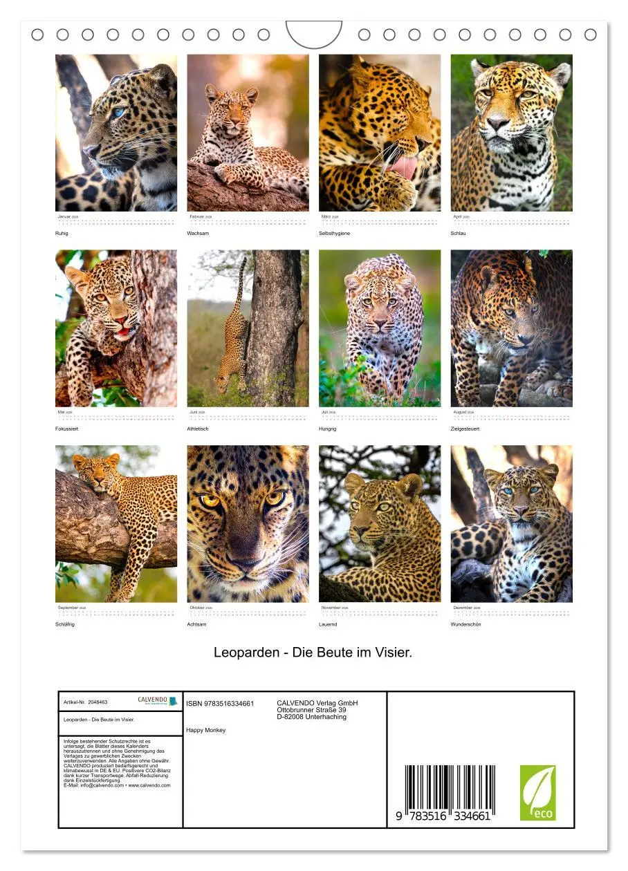 Bild: 9783516334661 | Leoparden - Die Beute im Visier. (Wandkalender 2026 DIN A4 hoch),...