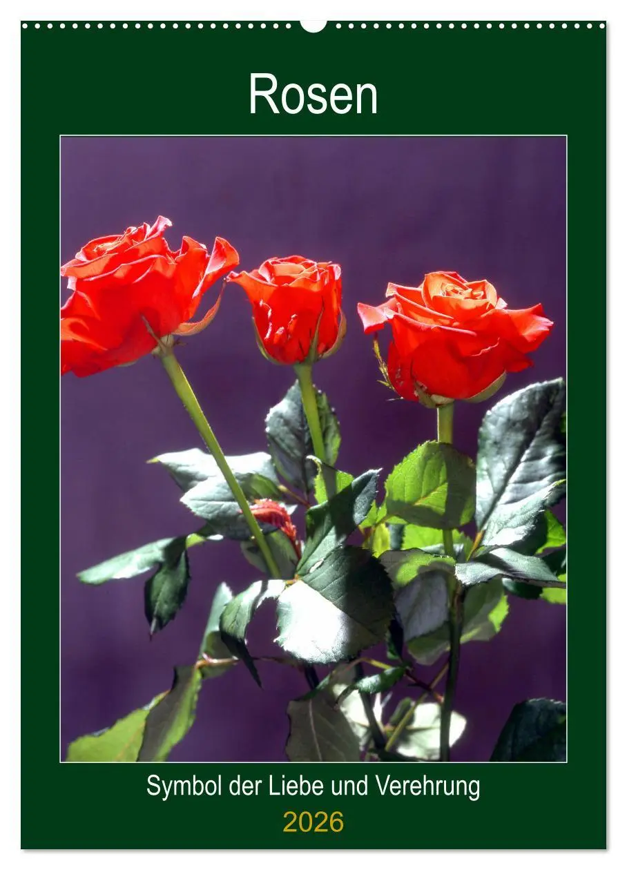 Cover: 9783516404661 | Rosen - Symbol der Liebe und Verehrung (Wandkalender 2026 DIN A2...