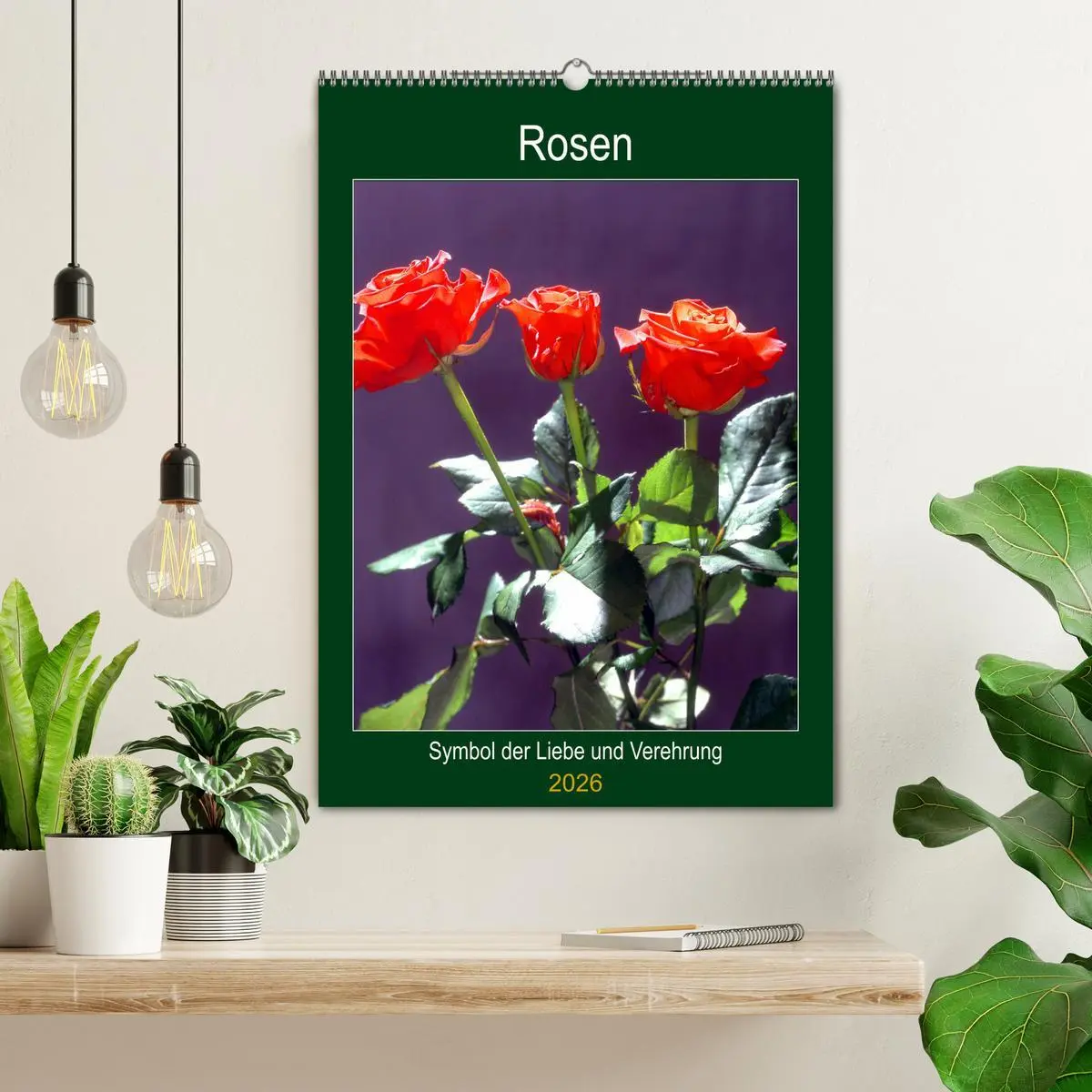 Bild: 9783516404661 | Rosen - Symbol der Liebe und Verehrung (Wandkalender 2026 DIN A2...