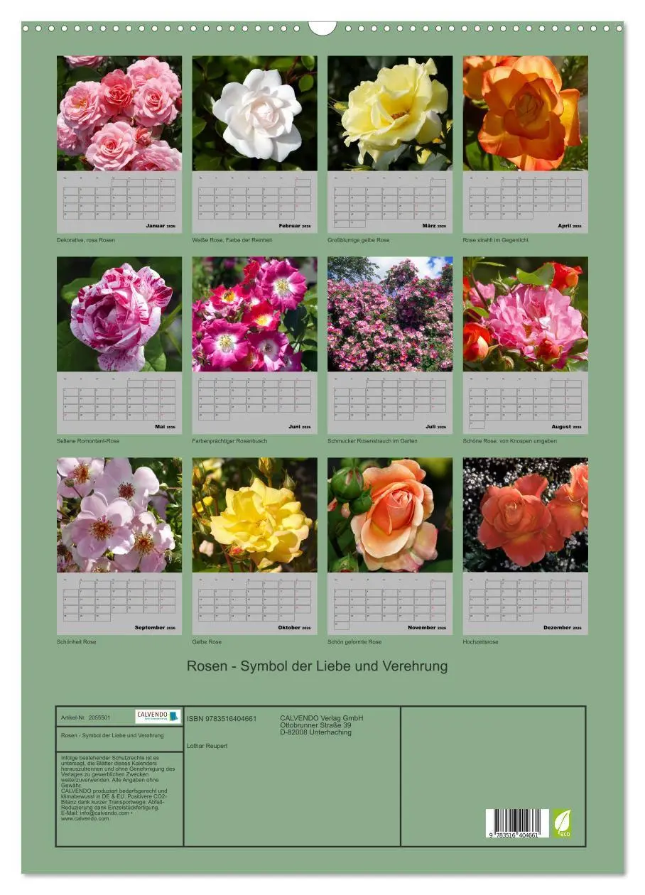 Bild: 9783516404661 | Rosen - Symbol der Liebe und Verehrung (Wandkalender 2026 DIN A2...