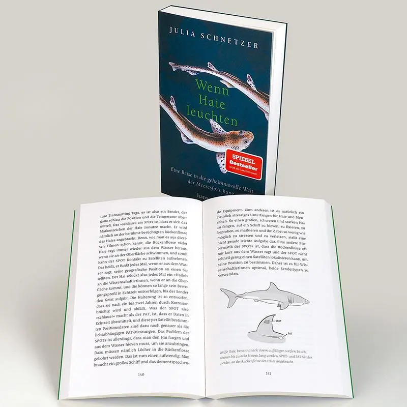 Bild: 9783446274761 | Wenn Haie leuchten | Julia Schnetzer | Taschenbuch | 288 S. | Deutsch
