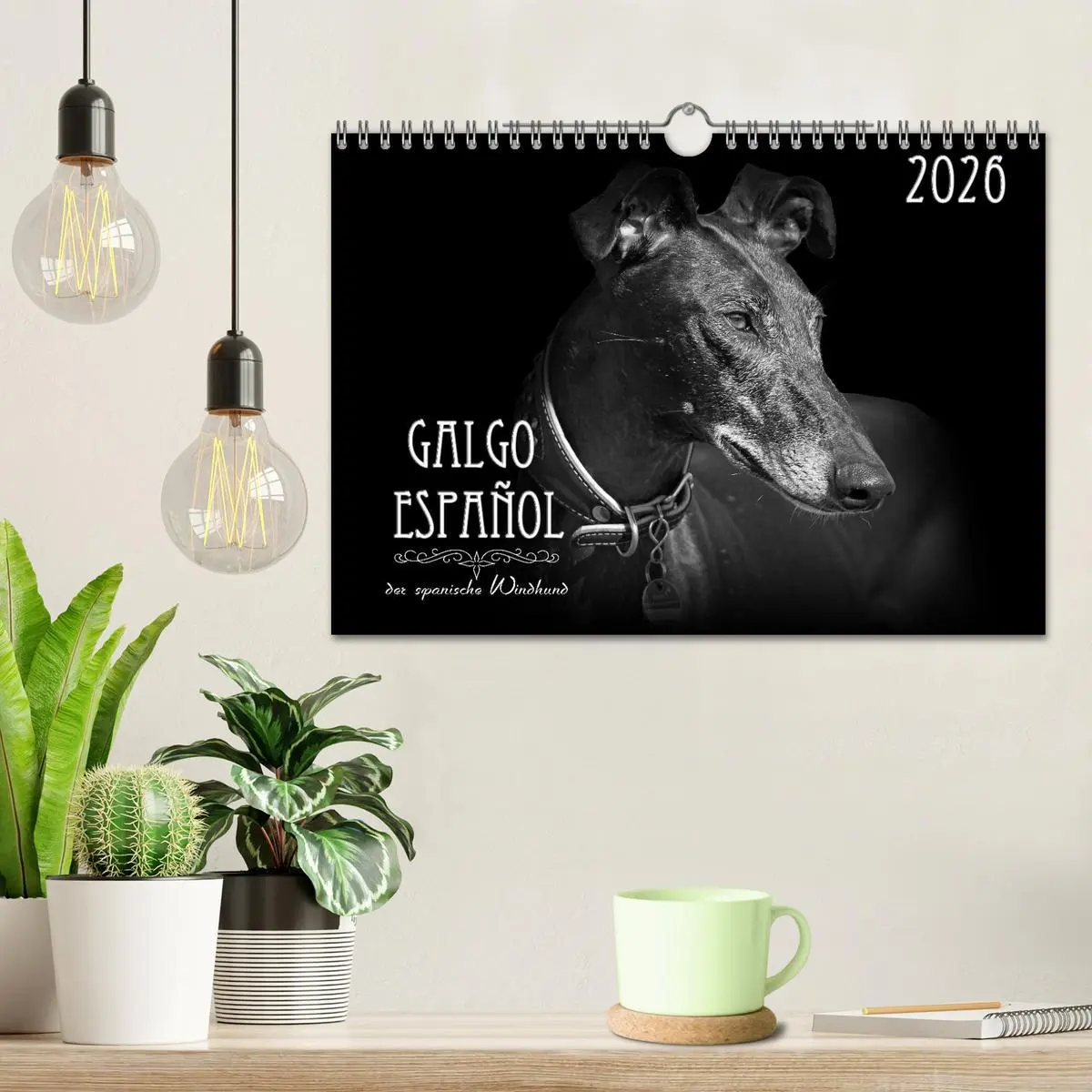 Bild: 9783457544761 | Galgo Español - der spanische Windhund 2026 (Wandkalender 2026 DIN...