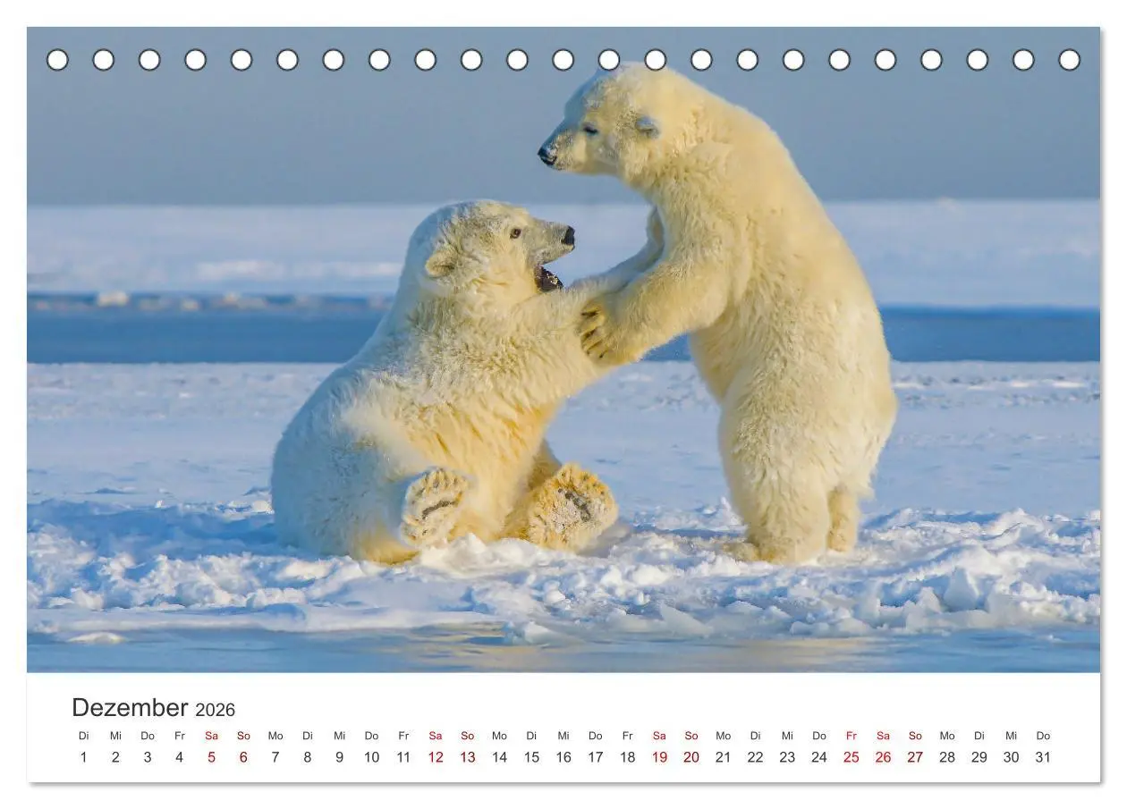 Bild: 9783457614761 | Alaska - Eine unvergessliche Reise. (Tischkalender 2026 DIN A5...
