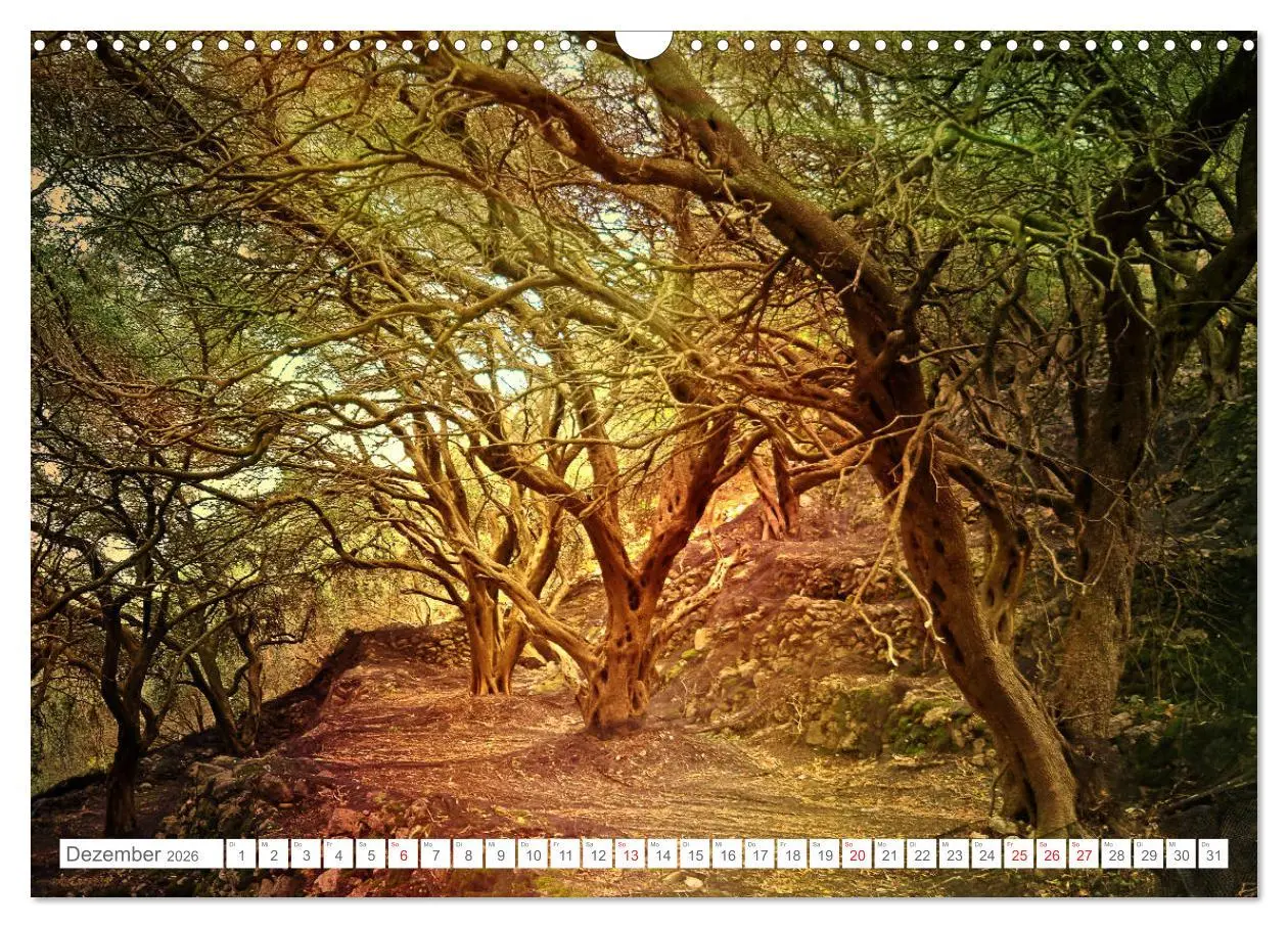 Bild: 9783457784761 | Faszination Korfu (Wandkalender 2026 DIN A3 quer), CALVENDO...