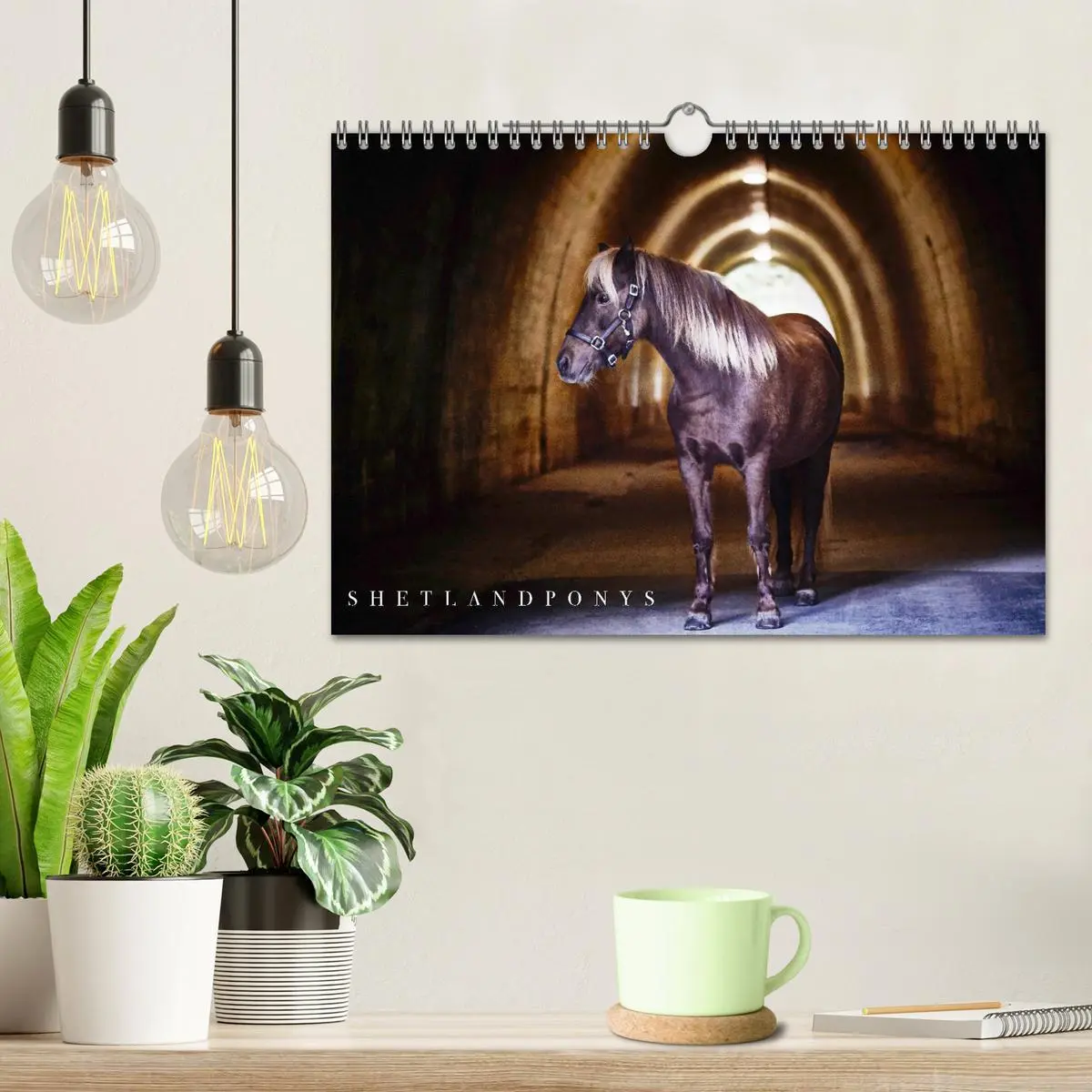 Bild: 9783457924761 | Shetlandpony Kalender (Wandkalender 2026 DIN A4 quer), CALVENDO...