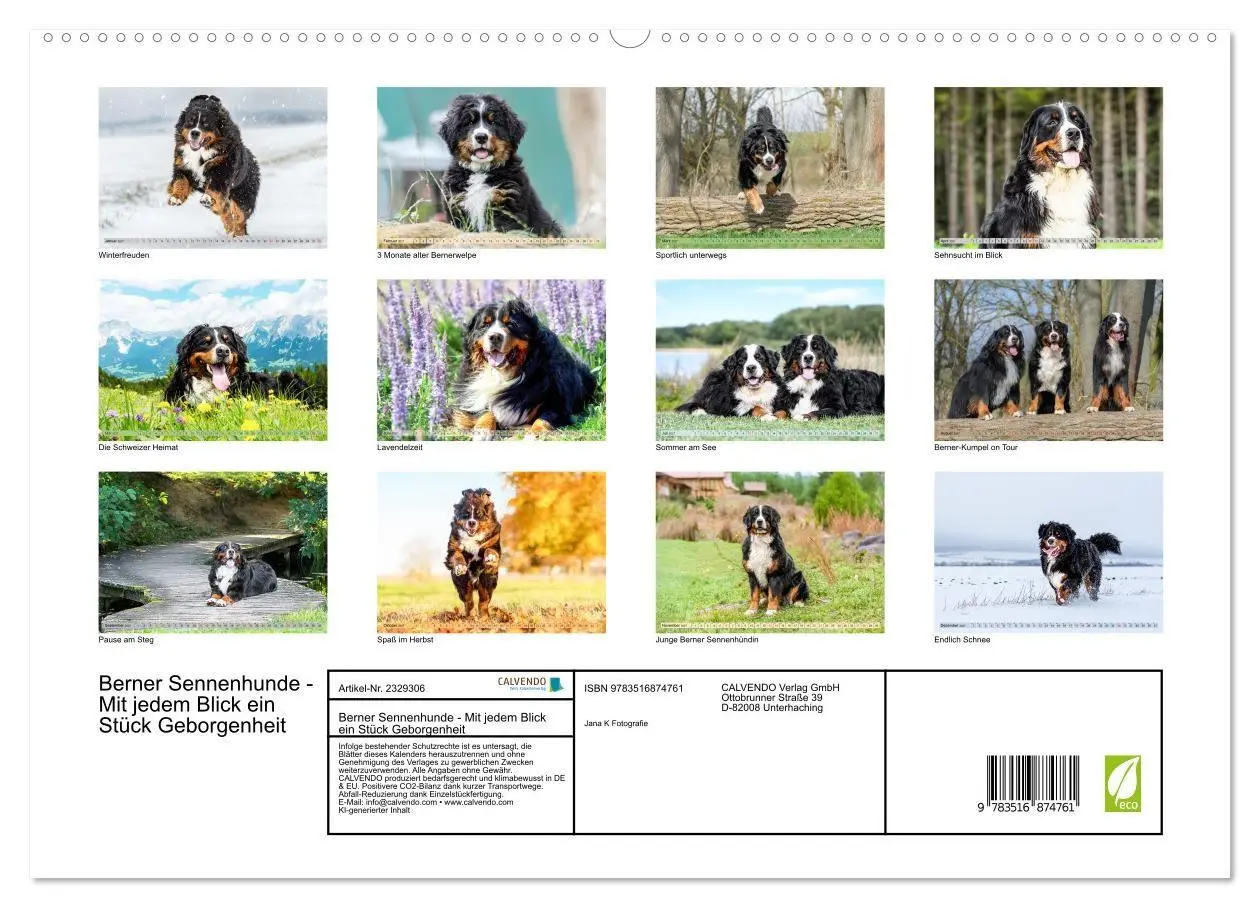 Bild: 9783516874761 | Berner Sennenhunde - Mit jedem Blick ein Stück Geborgenheit...