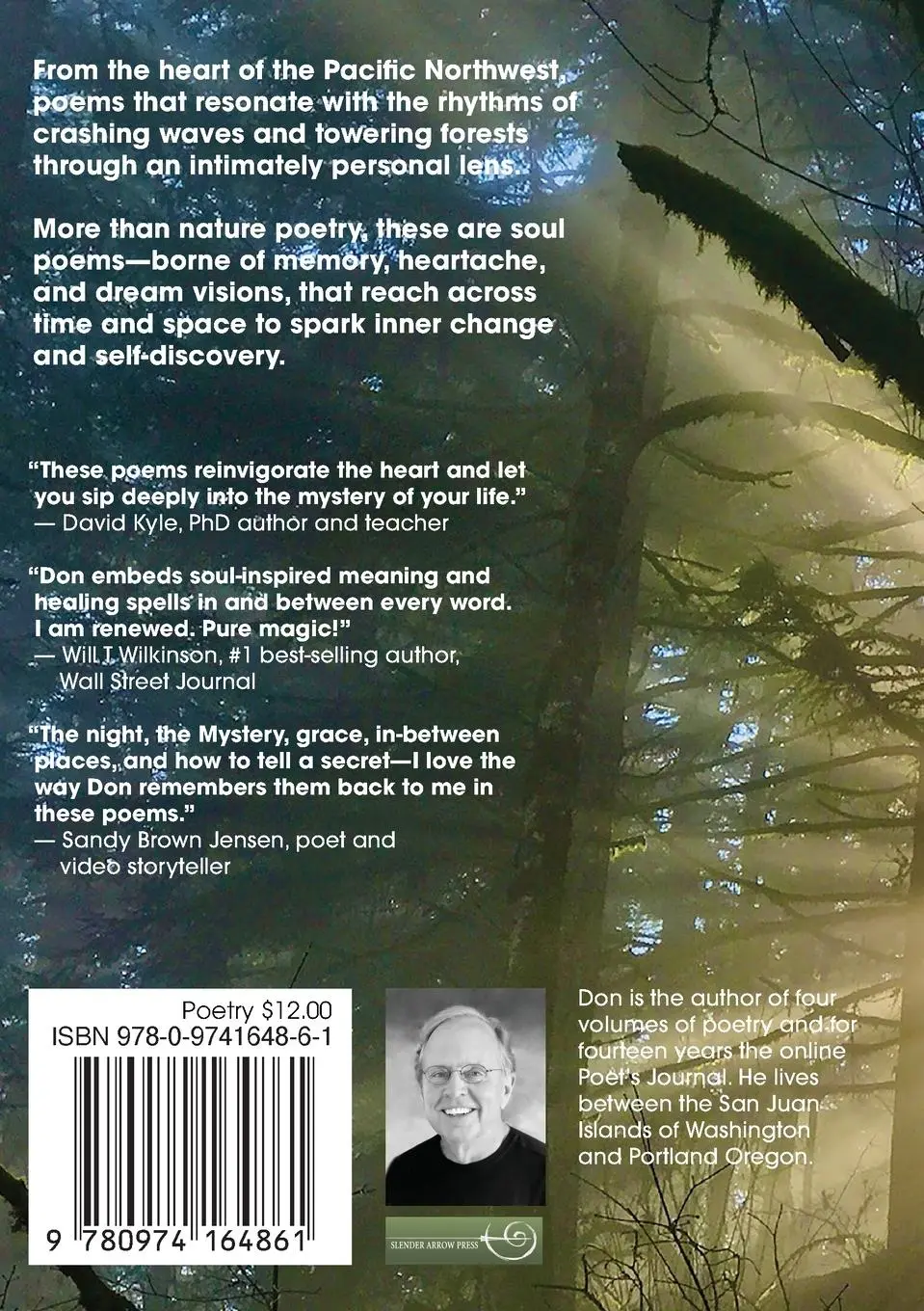 Rückseite: 9780974164861 | Something Will Change Me | Poems of Soul and Spirit | Don Hynes | Buch