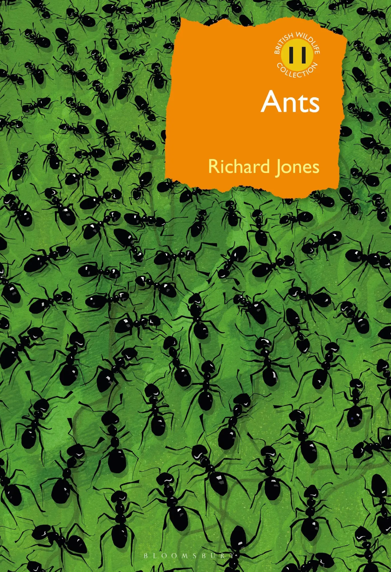 Cover: 9781472964861 | Ants | The Ultimate Social Insects | Richard Jones | Buch | Gebunden