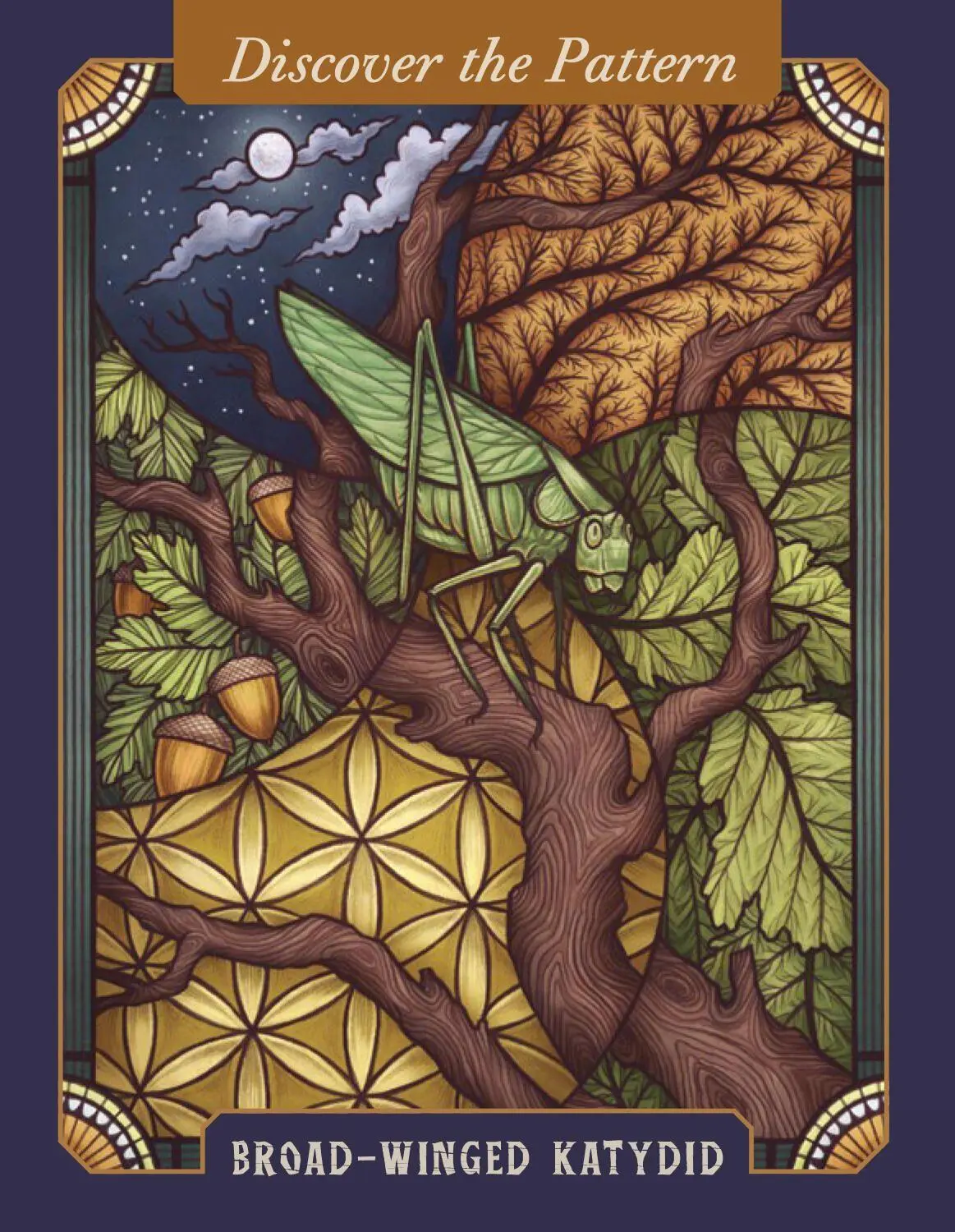 Bild: 9781635864861 | The Illustrated Bestiary Oracle Cards | Mata Toll | Wild Wisdom | 2021