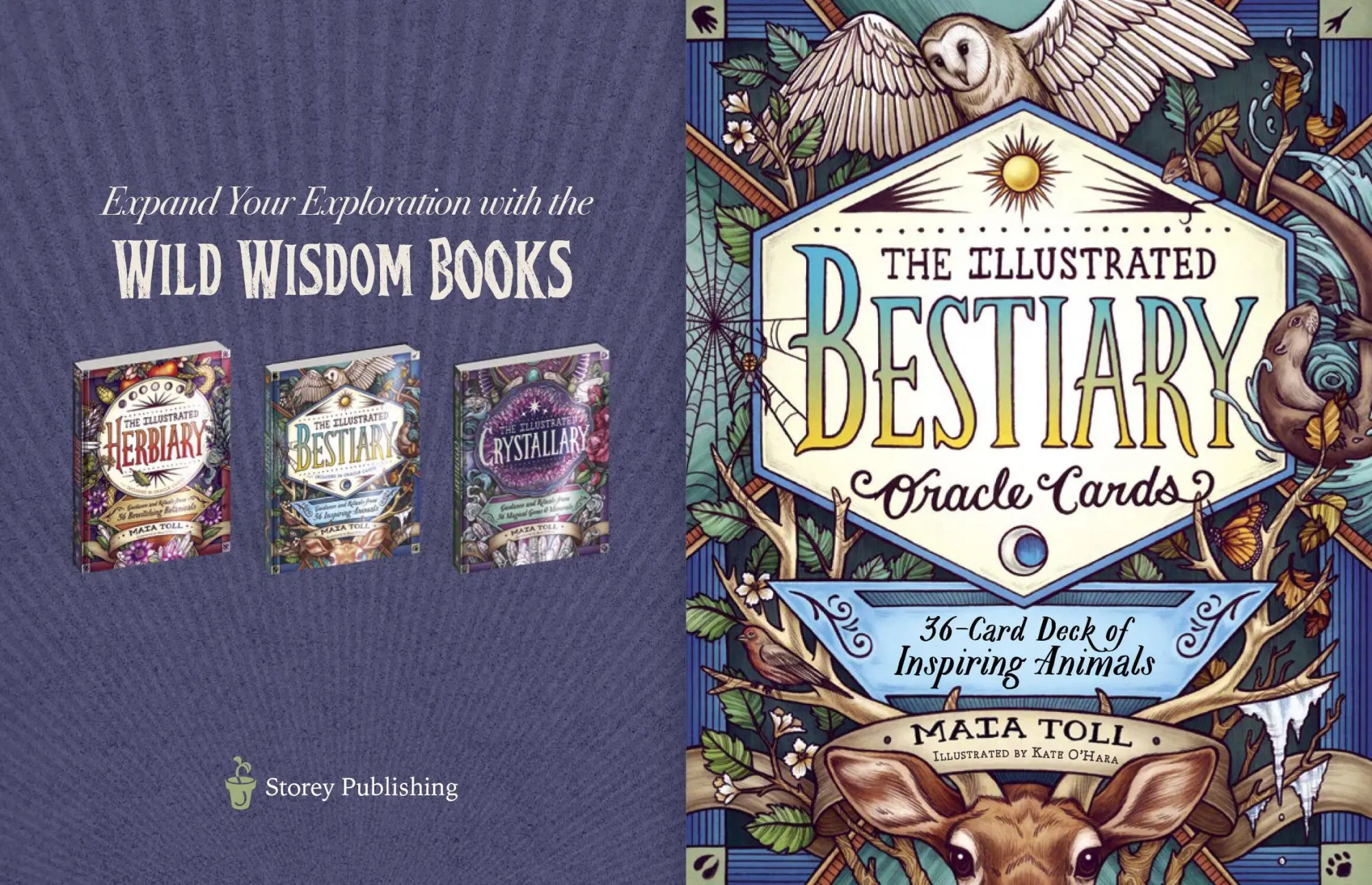 Bild: 9781635864861 | The Illustrated Bestiary Oracle Cards | Mata Toll | Wild Wisdom | 2021