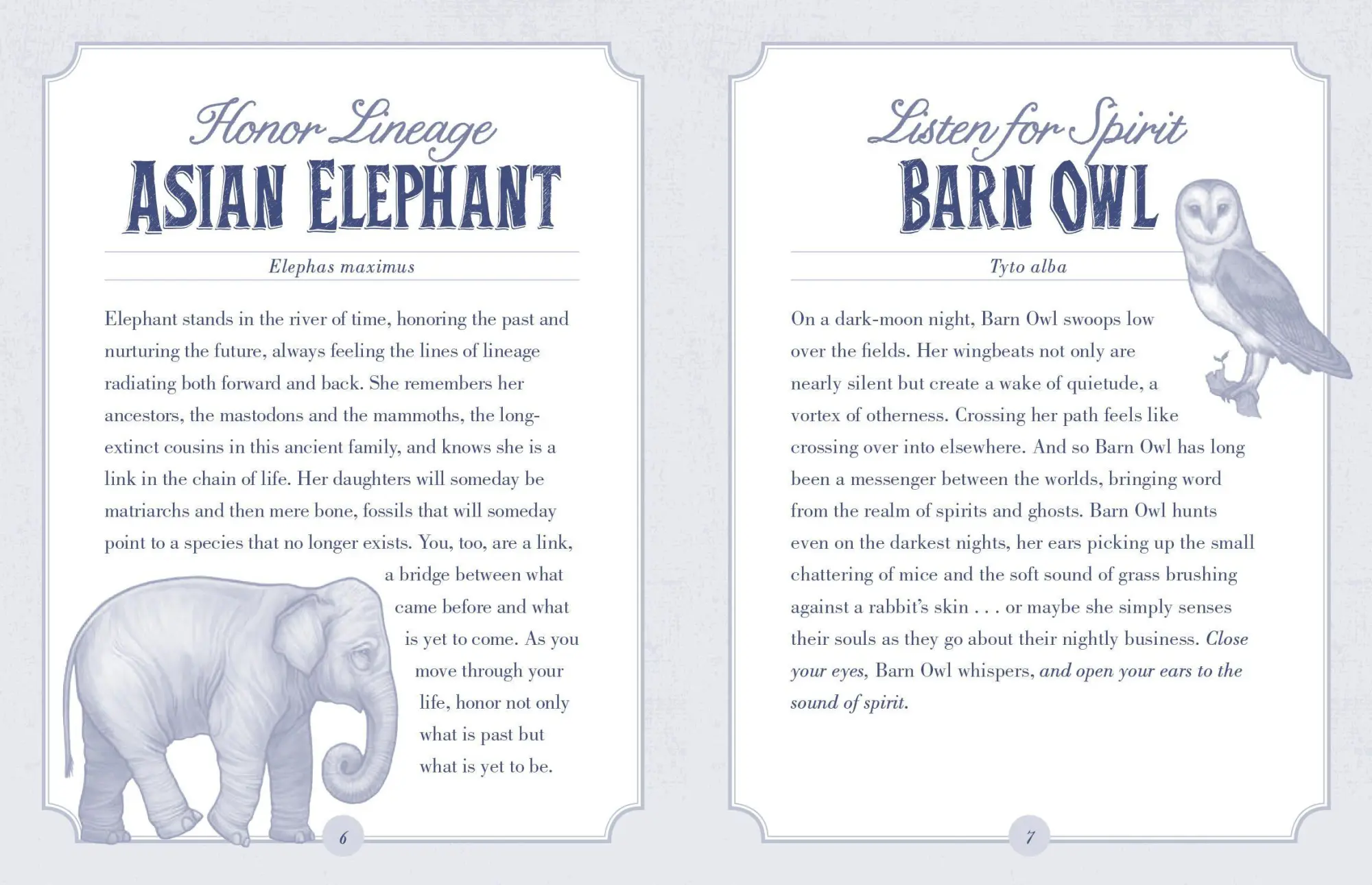 Bild: 9781635864861 | The Illustrated Bestiary Oracle Cards | Mata Toll | Wild Wisdom | 2021