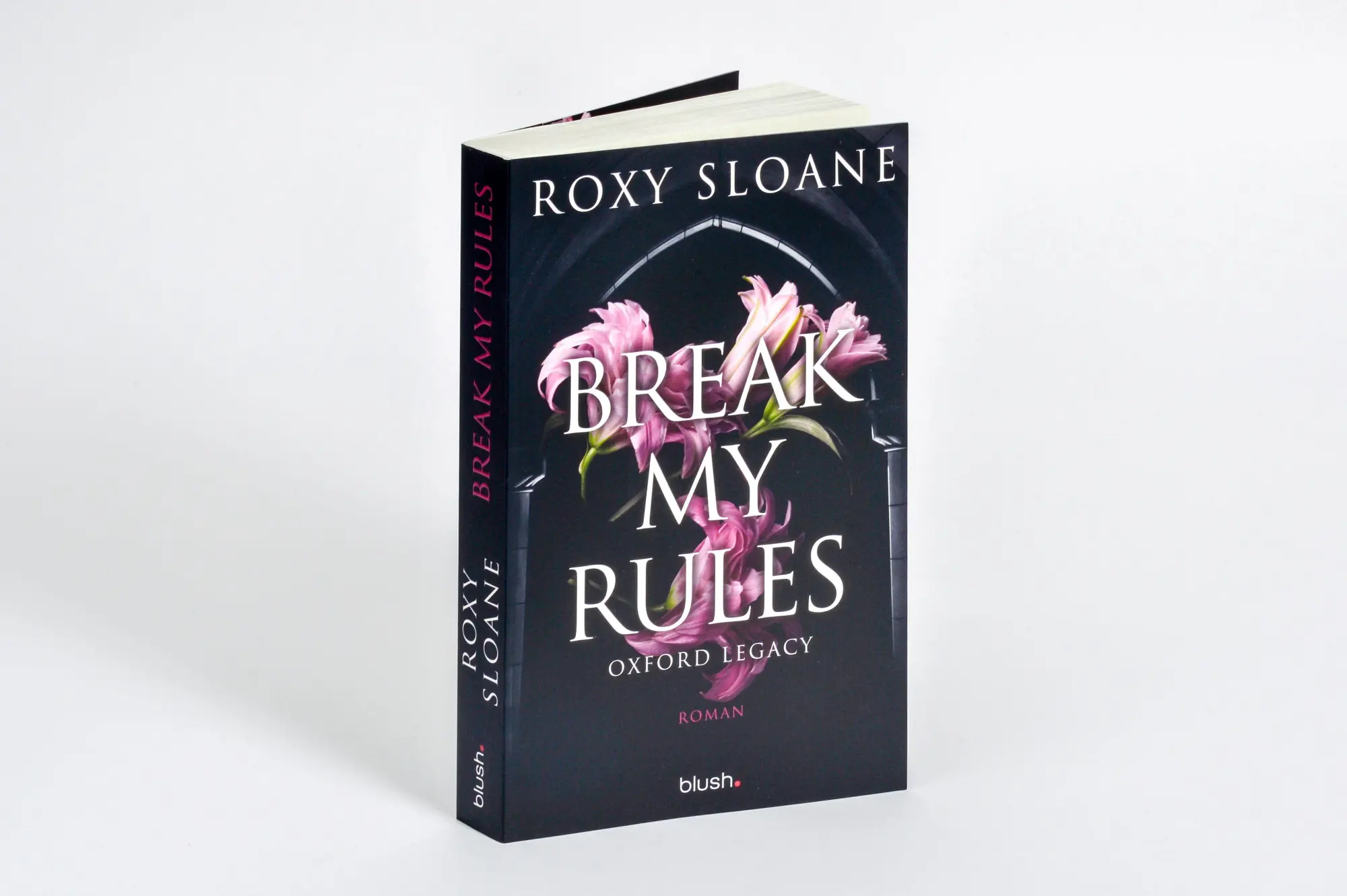 Bild: 9783734114861 | Break My Rules - Oxford Legacy | Roxy Sloane | Taschenbuch | 320 S.