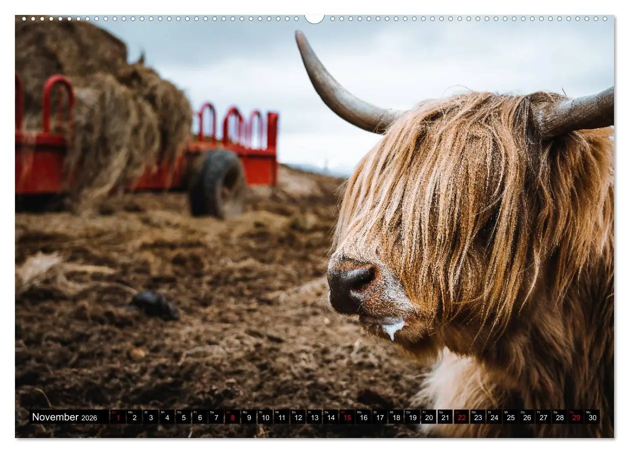 Bild: 9783457694961 | Isle of Skye - so schön kann schlechtes Wetter sein (hochwertiger...