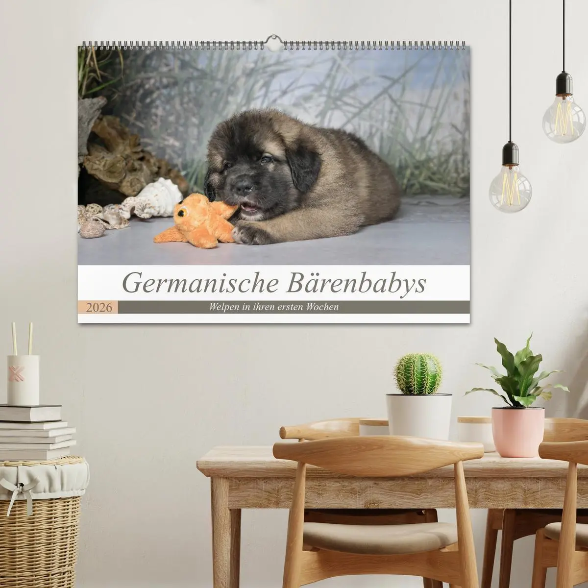 Bild: 9783457834961 | Germanische Bärenbabys (Wandkalender 2026 DIN A2 quer), CALVENDO...