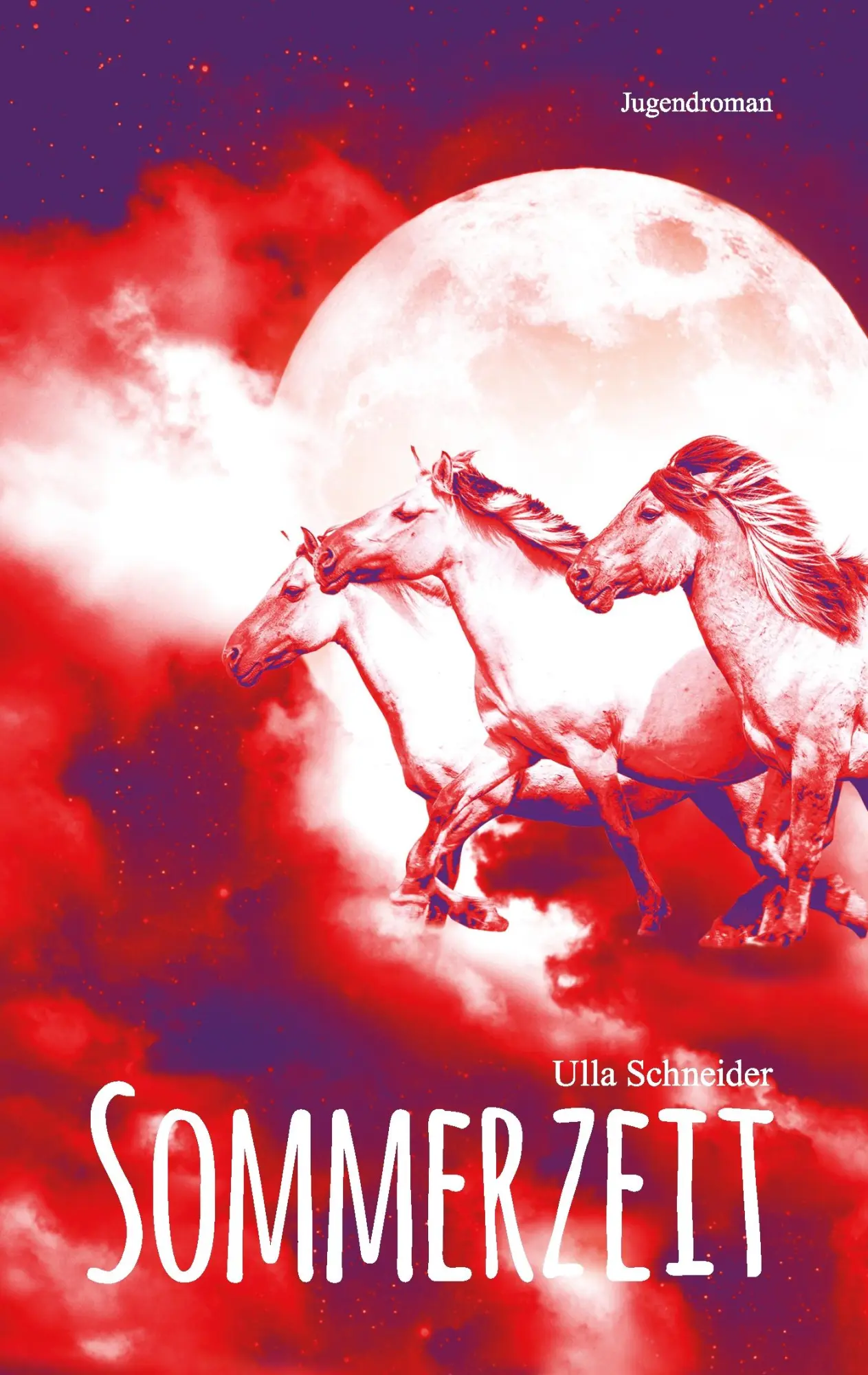 Cover: 9783741274961 | Sommerzeit | Jugendroman | Ulla Schneider | Taschenbuch | 344 S.