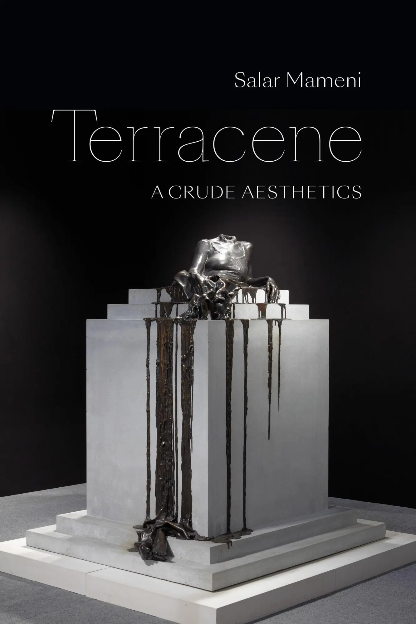 Cover: 9781478025061 | Terracene | A Crude Aesthetics | Salar Mameni | Taschenbuch | Englisch