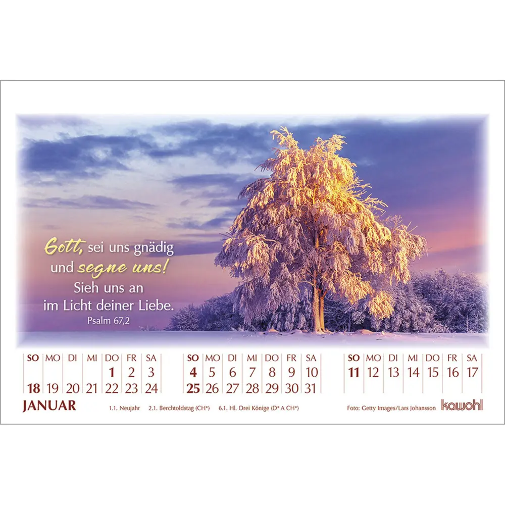 Bild: 9783754895061 | In seinem Licht 2026 | Kalender mit Stimmungsbildern und Bibelworten