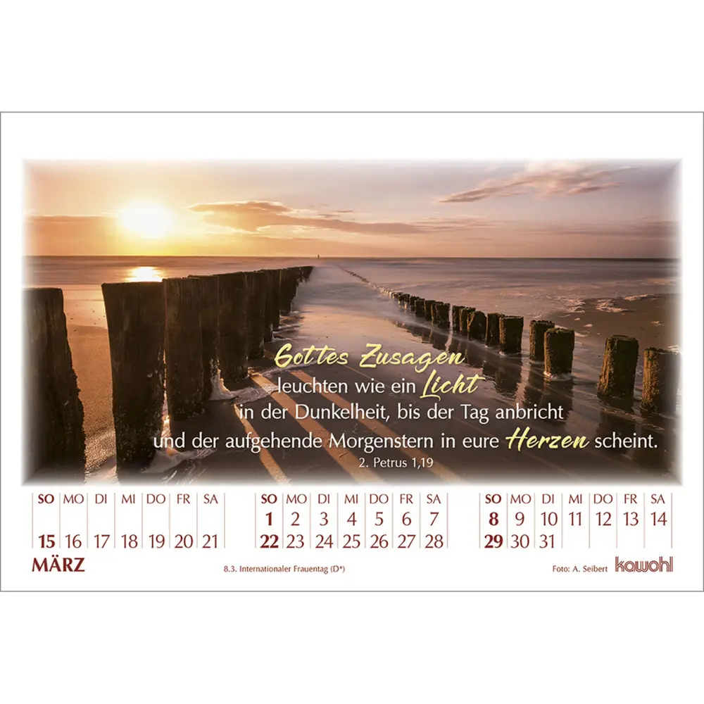 Bild: 9783754895061 | In seinem Licht 2026 | Kalender mit Stimmungsbildern und Bibelworten