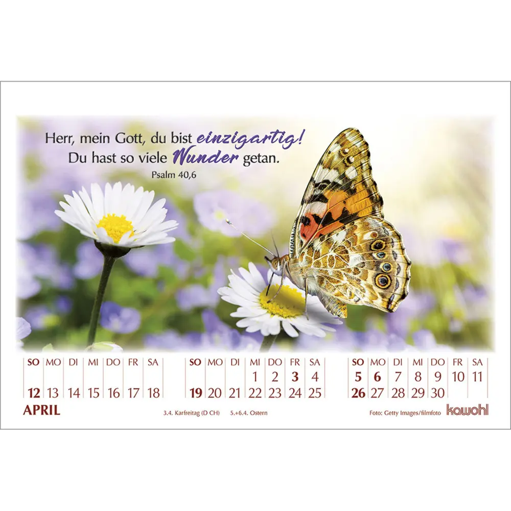 Bild: 9783754895061 | In seinem Licht 2026 | Kalender mit Stimmungsbildern und Bibelworten