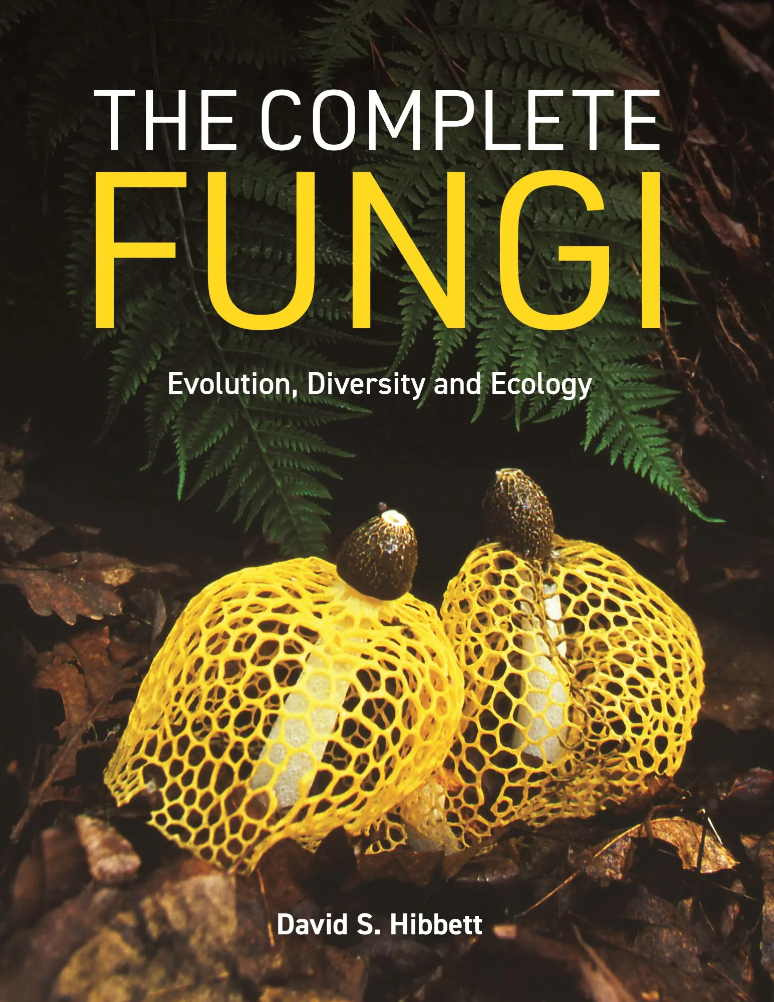 Cover: 9780691265261 | The Complete Fungi | Evolution, Diversity and Ecology | Hibbett | Buch
