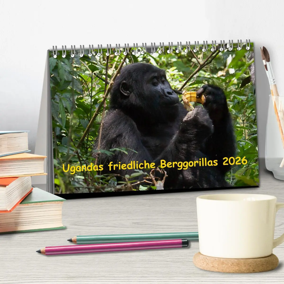 Bild: 9783457875261 | Ugandas friedliche Berggorillas (Tischkalender 2026 DIN A5 quer),...