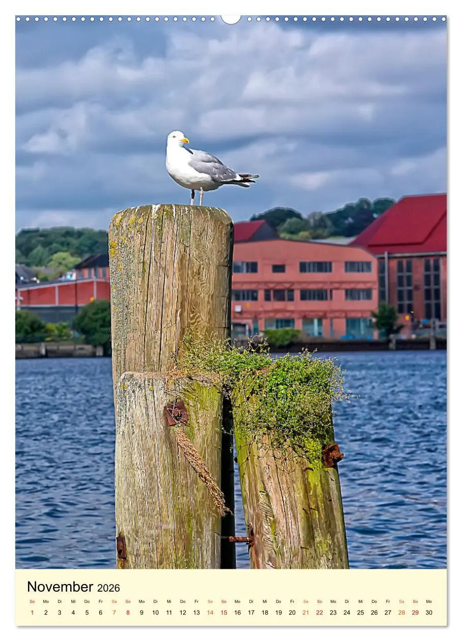 Bild: 9783516345261 | Flensburg - so bezaubernd (hochwertiger Premium Wandkalender 2026...