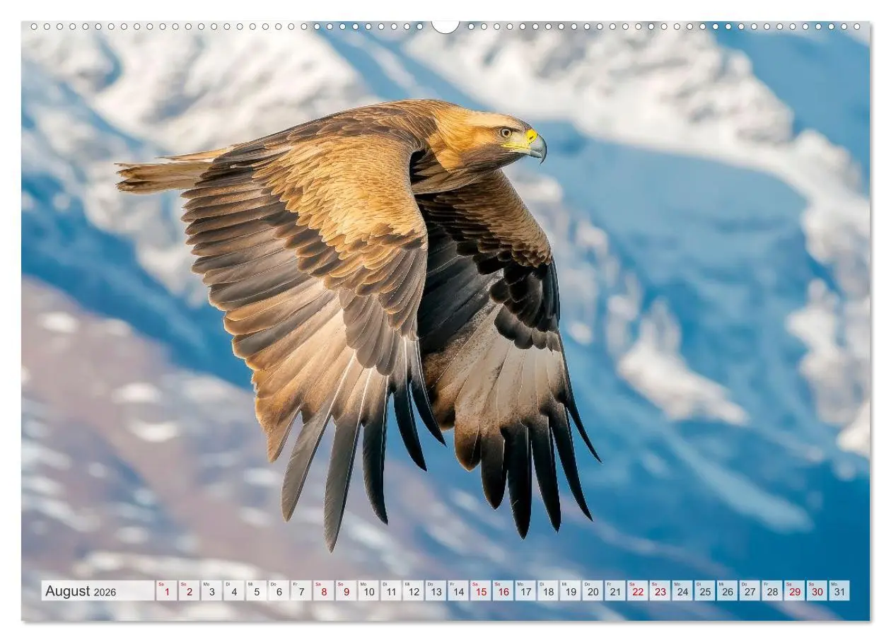 Bild: 9783516005561 | Bedrohte Tierwelt SCHATTEN DES VERSCHWINDENS (Wandkalender 2026 DIN...
