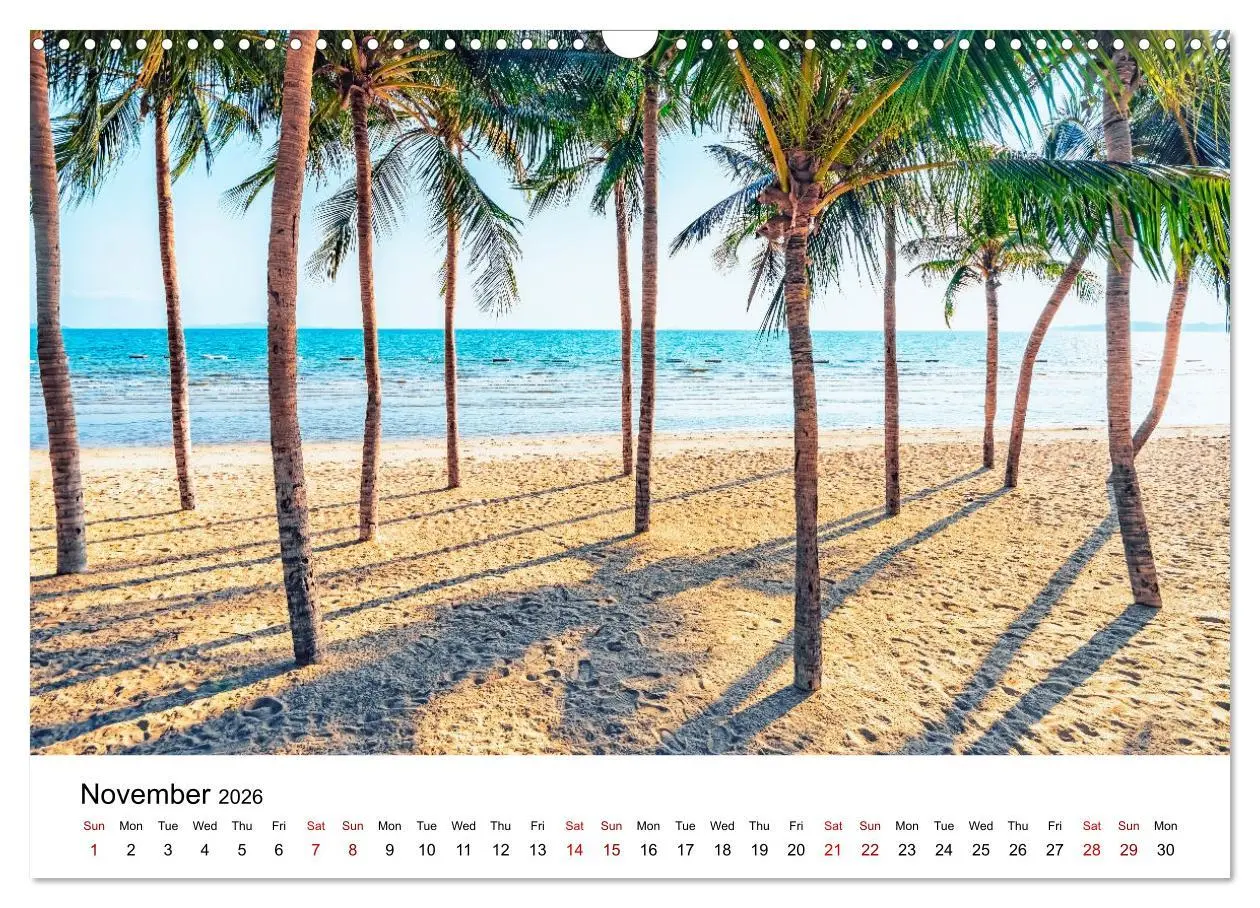 Bild: 9783516555561 | Tropical Vibes (Wall Calendar 2026 DIN A3 landscape), CALVENDO 12...