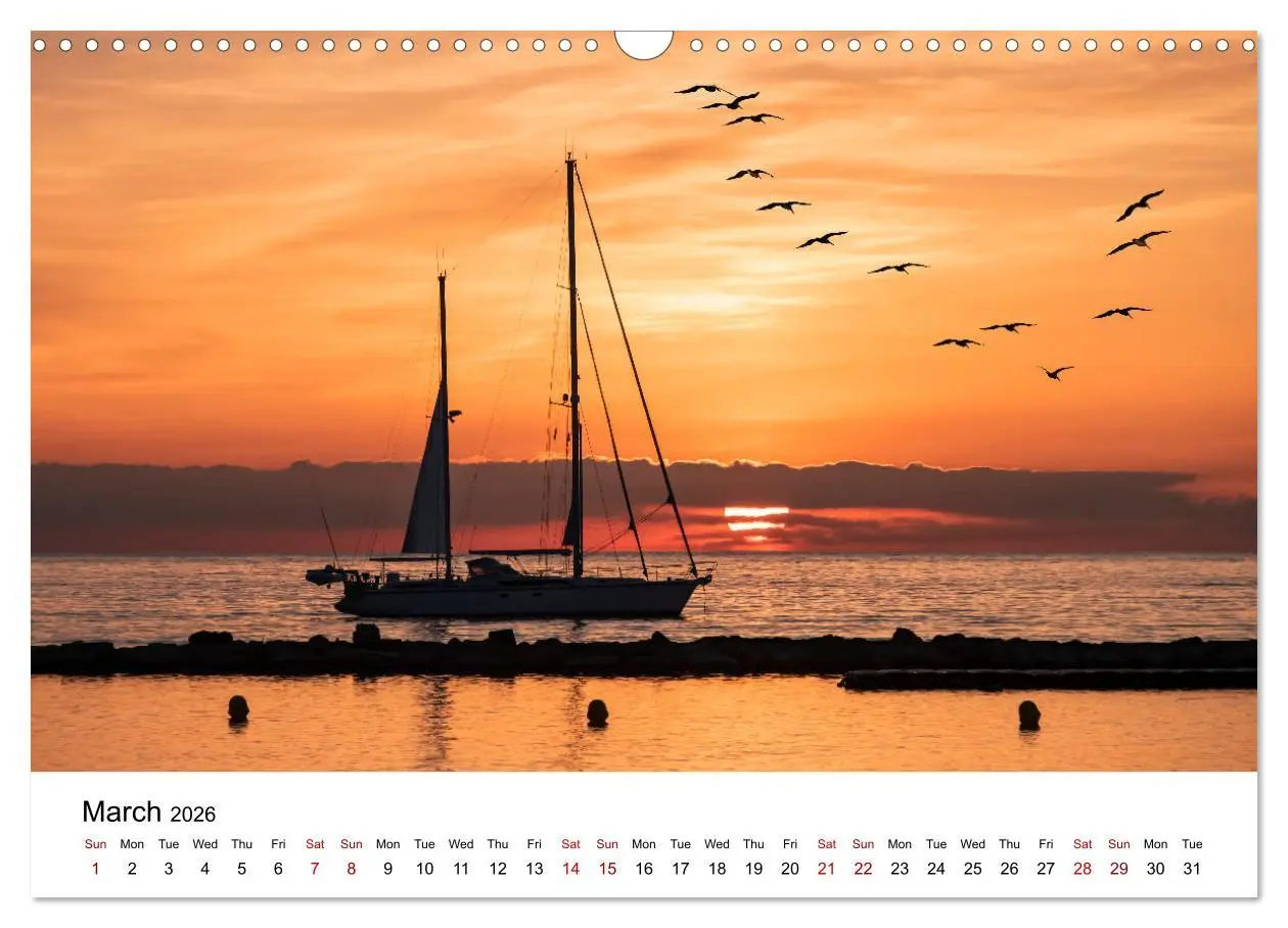 Bild: 9783516555561 | Tropical Vibes (Wall Calendar 2026 DIN A3 landscape), CALVENDO 12...