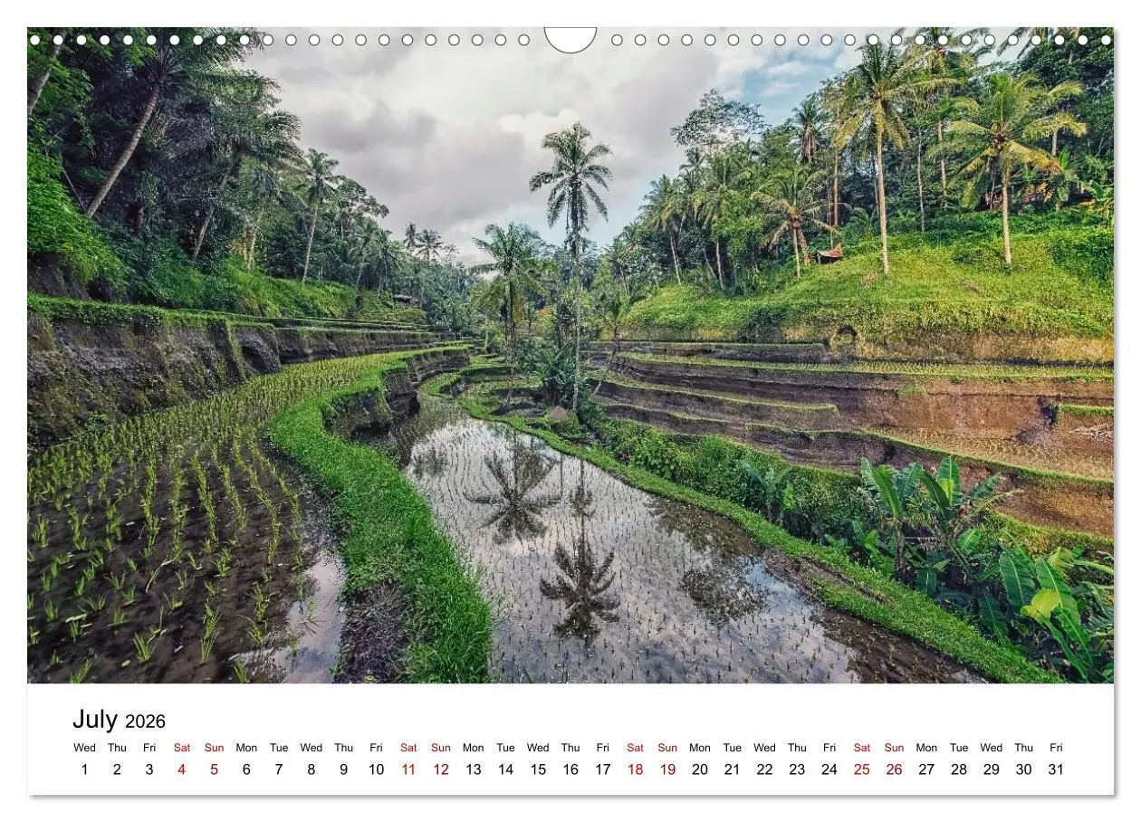 Bild: 9783516555561 | Tropical Vibes (Wall Calendar 2026 DIN A3 landscape), CALVENDO 12...