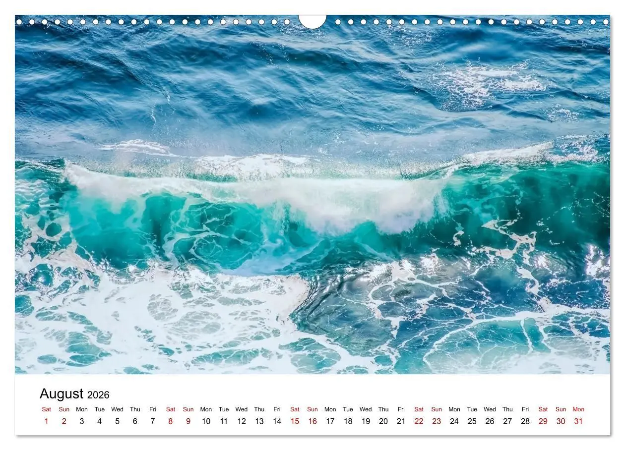 Bild: 9783516555561 | Tropical Vibes (Wall Calendar 2026 DIN A3 landscape), CALVENDO 12...