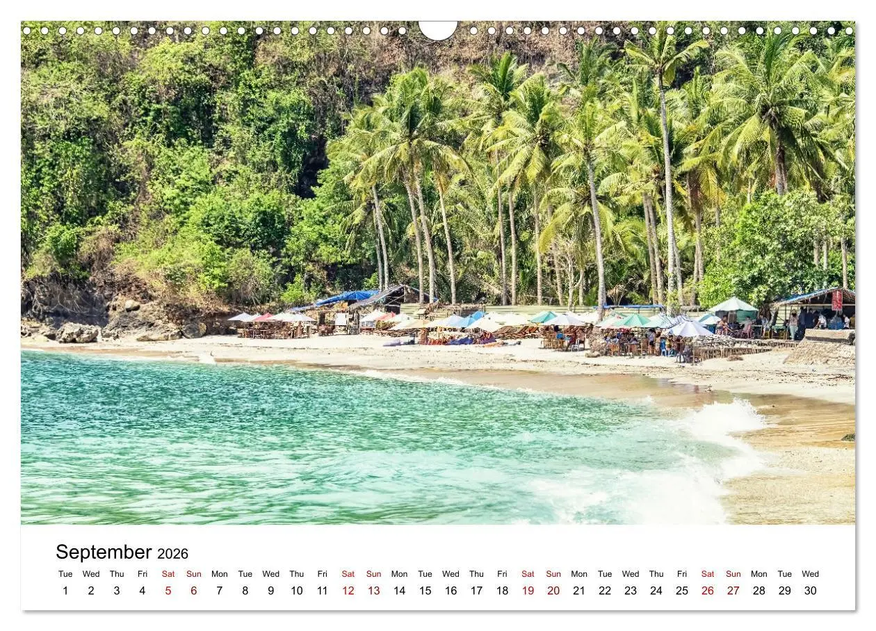 Bild: 9783516555561 | Tropical Vibes (Wall Calendar 2026 DIN A3 landscape), CALVENDO 12...