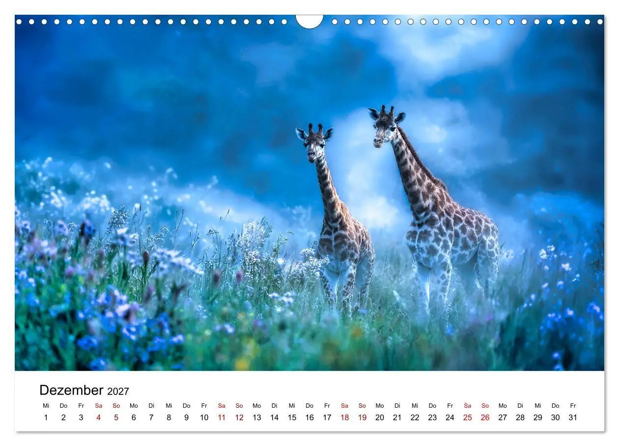 Bild: 9783516795561 | Sanfte Riesen - Giraffen in ihrer Welt (Wandkalender 2027 DIN A3...