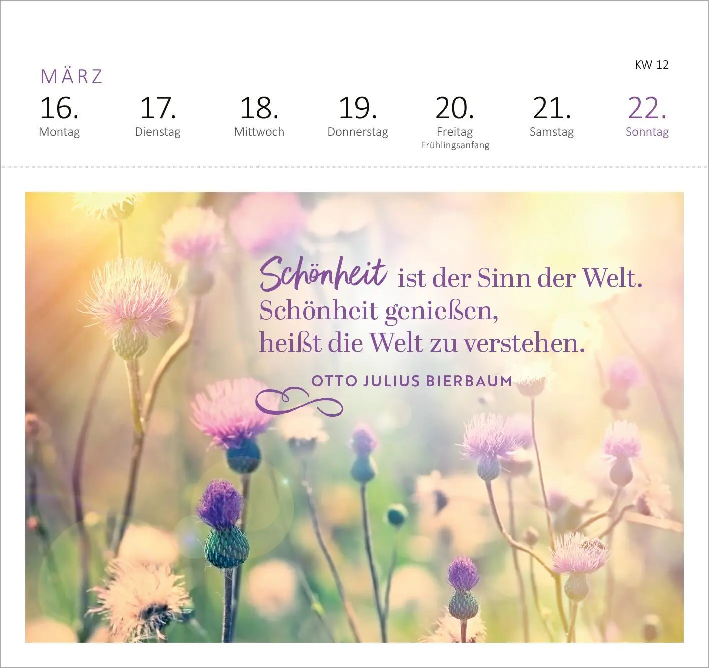 Bild: 4014489135661 | Postkartenkalender Lebensweisheiten 2026 | Kalender | Spiralaufsteller