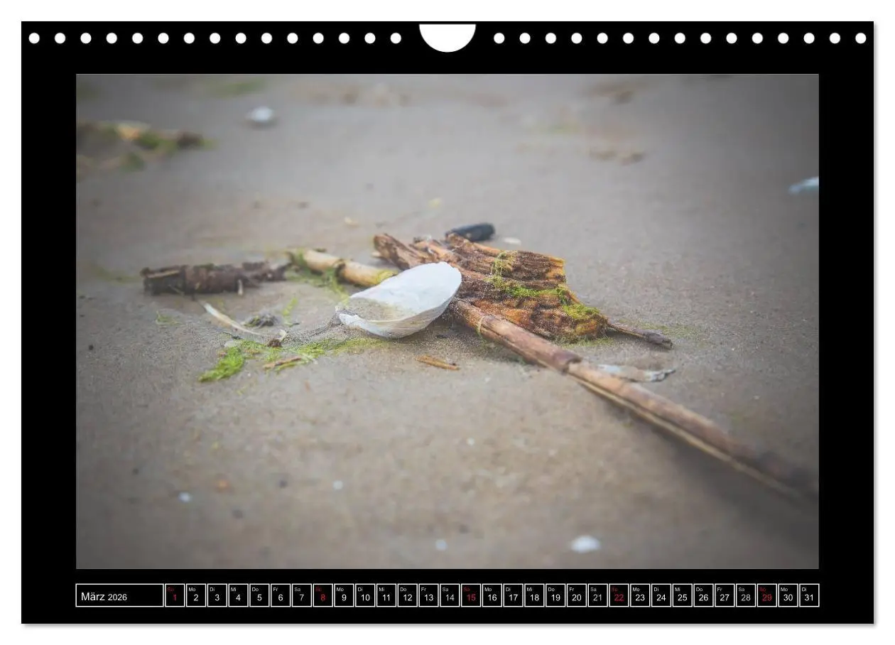 Bild: 9783516165661 | Usedom - Träume einer Insel (Wandkalender 2026 DIN A4 quer),...